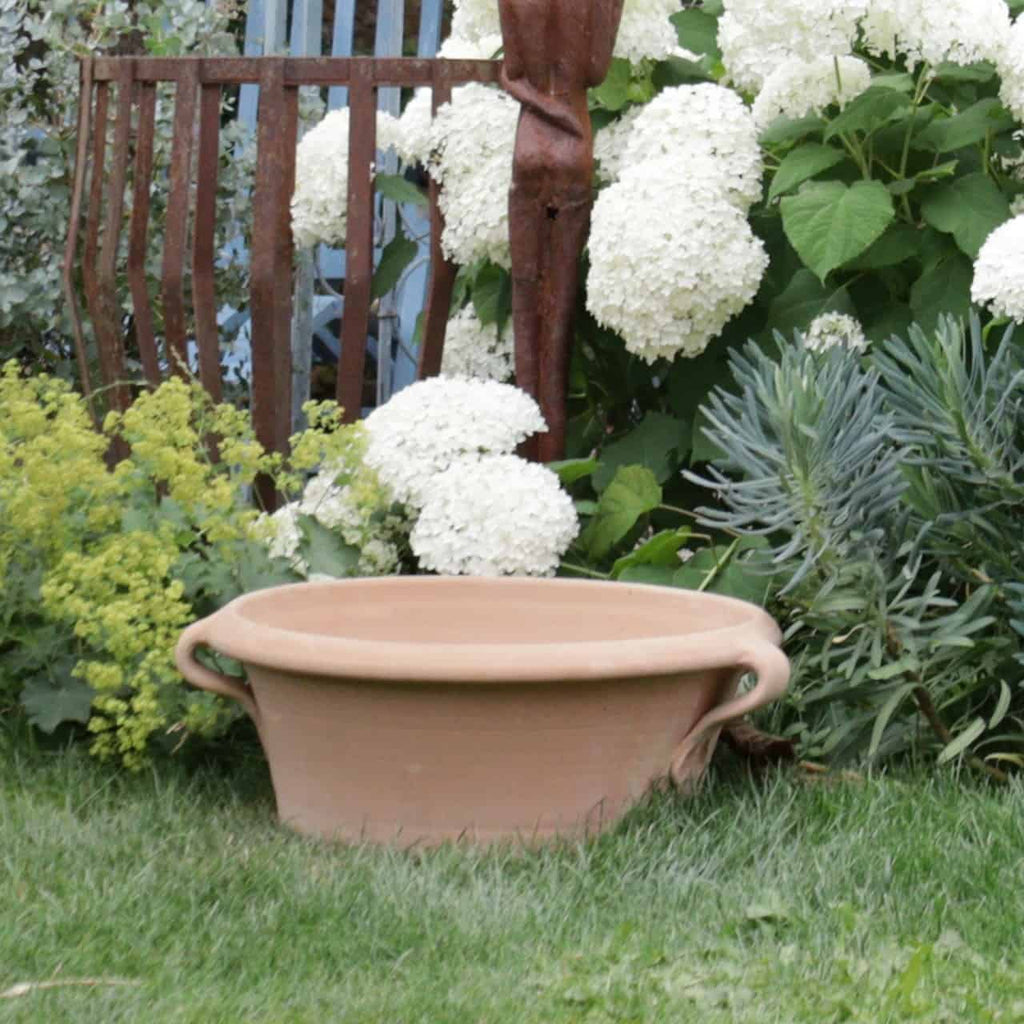 Die Kreta Keramik Terrakotta-Pflanzschale „Crocus“ mit einer Breite von 50 cm steht auf einer Rasenfläche, umgeben von üppigem Grün und blühenden weißen Hortensien in einem Garten. Im Hintergrund ist teilweise eine rustikale Holzstruktur sichtbar, die einen Hauch des für Kreta Keramik-Designs charakteristischen Charmes verleiht.