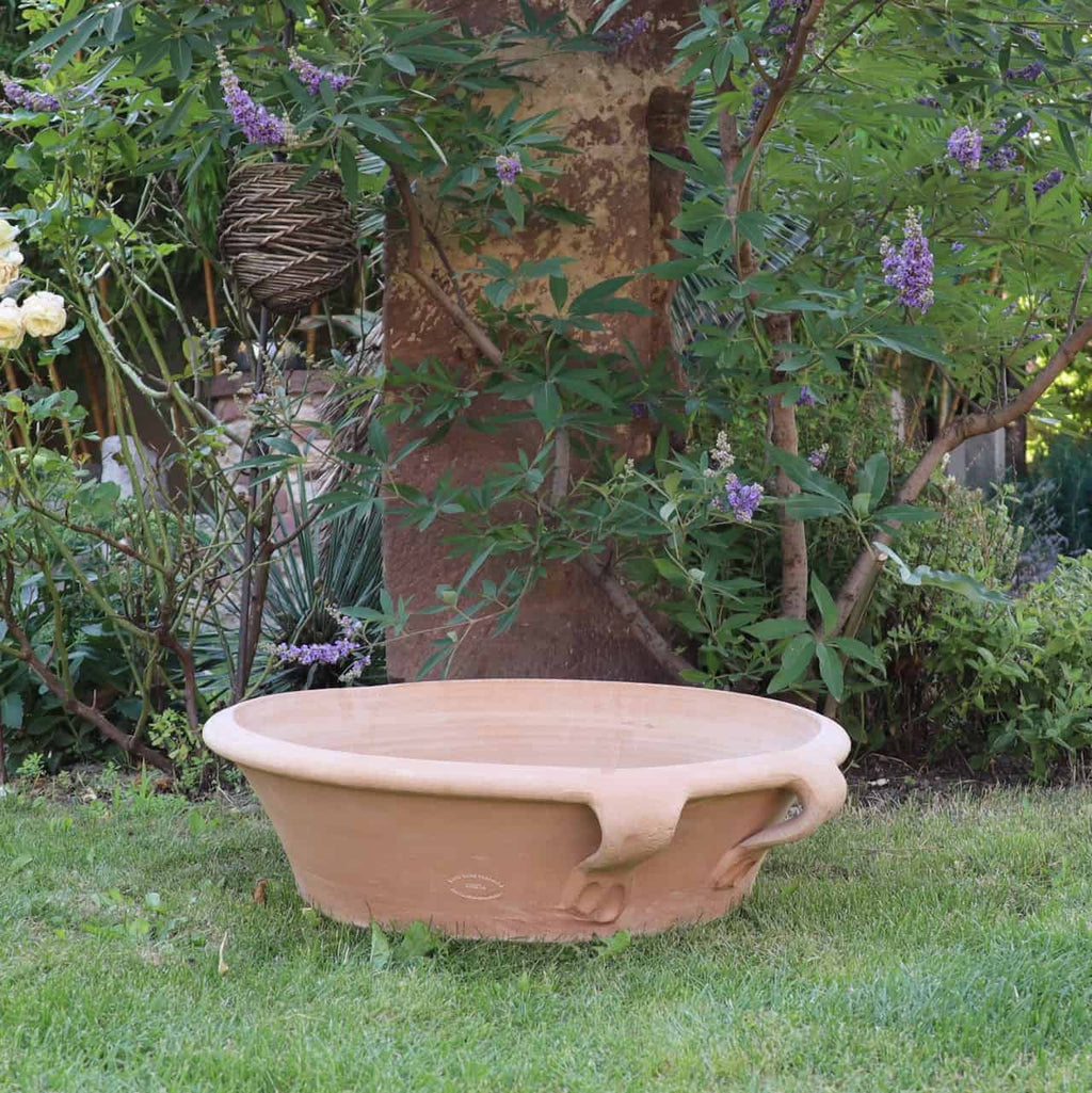 Auf einer Rasenfläche steht eine große, leere Terrakotta-Pflanzschale „Crocus“ mit 40 cm Durchmesser und zwei Griffen. Der Hintergrund zeigt üppiges grünes Laub, leuchtend violette Krokusblüten, einen kräftigen Baumstamm und eine elegante hängende Korbdekoration. Die Szene strahlt Ruhe und Gelassenheit aus, was auf einen schön gepflegten Garten hindeutet.