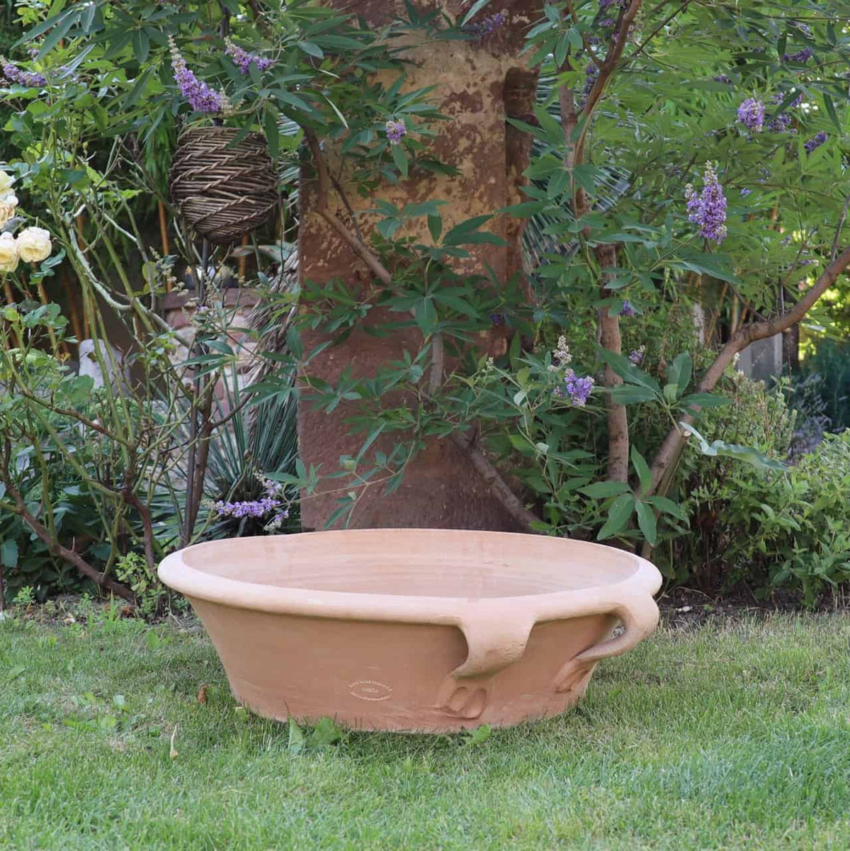 Auf einer Rasenfläche steht eine große, leere Terrakotta-Pflanzschale „Crocus“ mit 40 cm Durchmesser und zwei Griffen. Der Hintergrund zeigt üppiges grünes Laub, leuchtend violette Krokusblüten, einen kräftigen Baumstamm und eine elegante hängende Korbdekoration. Die Szene strahlt Ruhe und Gelassenheit aus, was auf einen schön gepflegten Garten hindeutet.