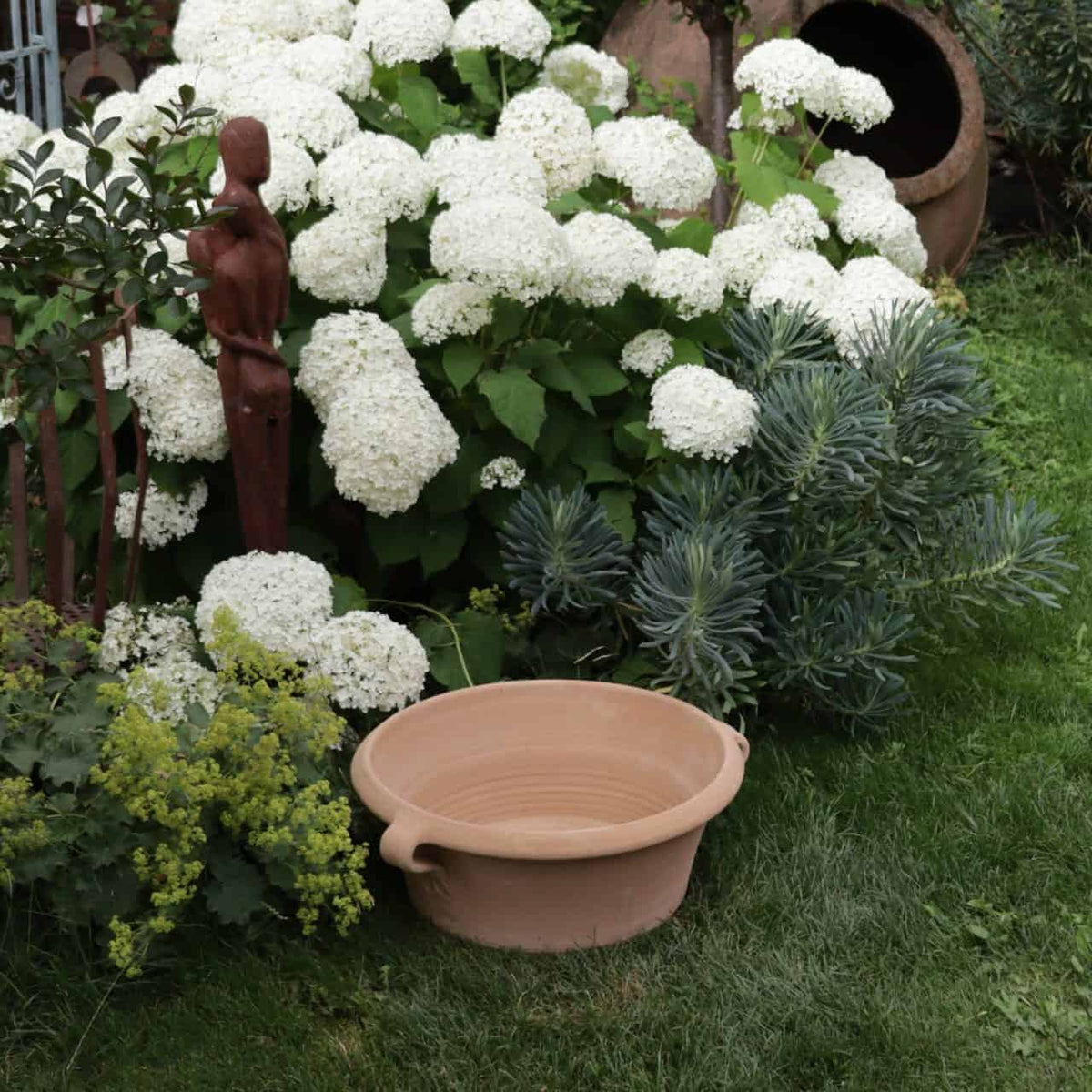 Eine Gartenszene mit einer großen Ansammlung weißer Hortensienblüten in voller Blüte, einer mit Wasser gefüllten Kreta Keramik Terrakotta-Pflanzschale „Krokus“ (B=50 cm) und einer hohen, schlanken Holzskulptur inmitten des Laubes. Verschiedene Grünpflanzen umgeben den Bereich und schaffen eine üppige, lebendige Umgebung.