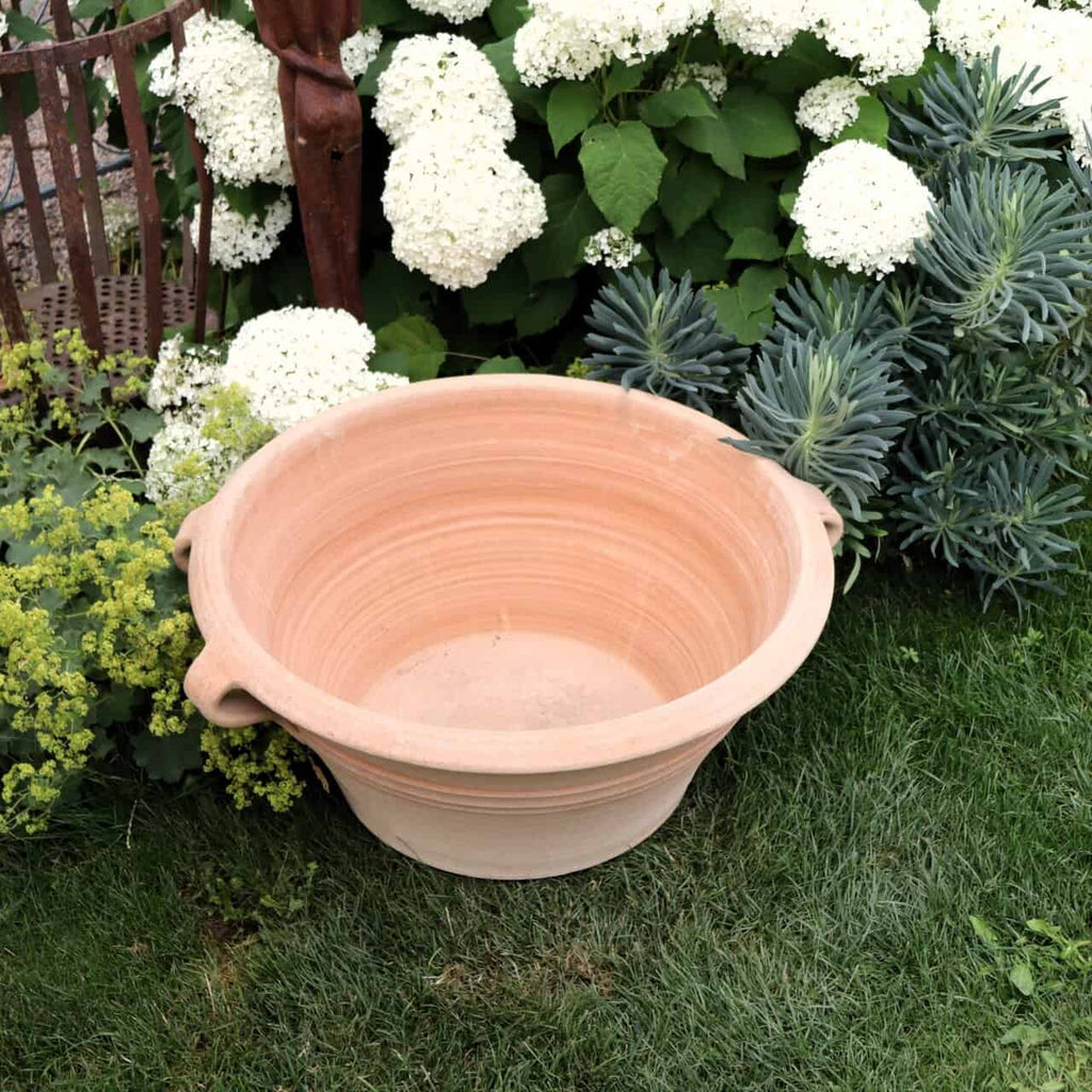 Die Kreta Keramik Terracotta Pflanz- und Wasserschale "Crocus", B=70 cm, steht leer auf grünem Gras, umrahmt von blühenden weißen Hortensien und üppigen Gartenpflanzen.