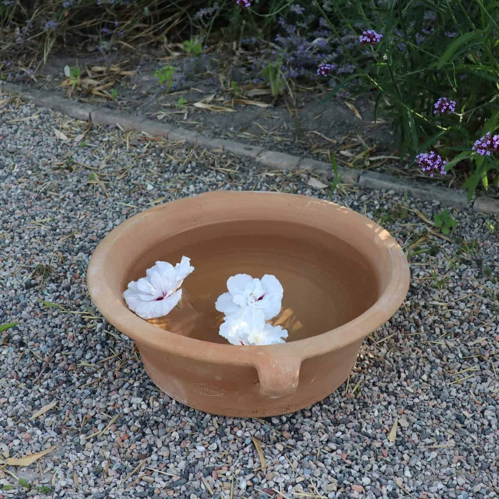 Eine Terrakotta-Pflanzschale „Krokus“, 40 cm Durchmesser, gefüllt mit Wasser und schwimmenden weißen Blüten, steht auf einer Kiesfläche. Im Hintergrund sind grüne Blätter, blühende lila Blumen und zarte Krokusblüten zu sehen.