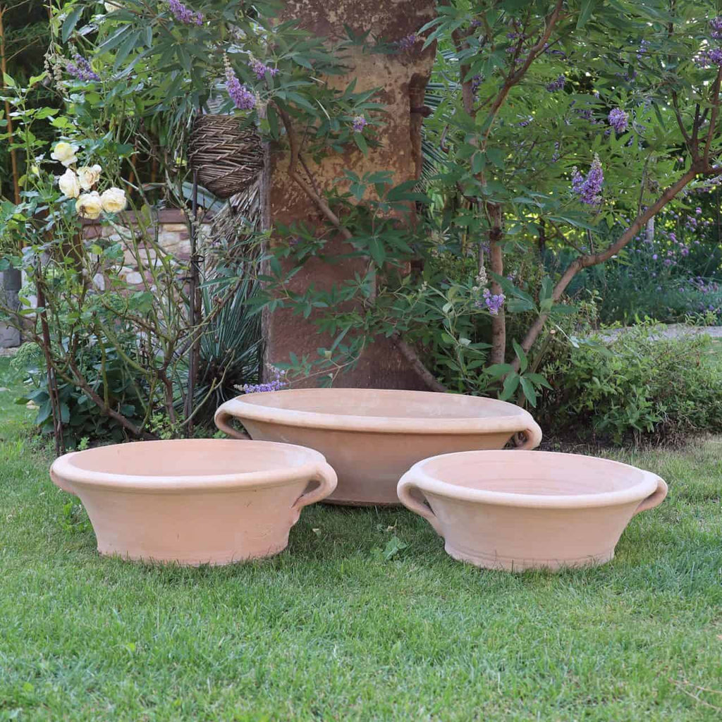 Drei Terrakotta-Pflanzschalen „Krokus“ mit einem Durchmesser von 40 cm stehen auf dem Rasen in einer Gartenkulisse. Dahinter ist ein Baumstamm und üppiges Grün, darunter weiße und violette Krokusblüten. Die Szene vermittelt eine friedliche, natürliche Außenumgebung.