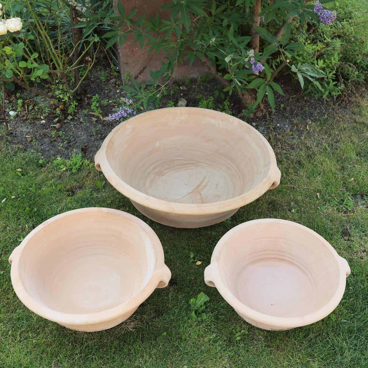Drei beige, runde Terrakotta-Pflanzschalen „Crocus“ mit einem Durchmesser von 40 cm stehen auf einer Rasenfläche. Jede Schale, ausgestattet mit zwei Griffen, ist am Rand eines Blumengartens mit blühenden Krokuspflanzen und üppigem grünem Blattwerk im Hintergrund angeordnet.