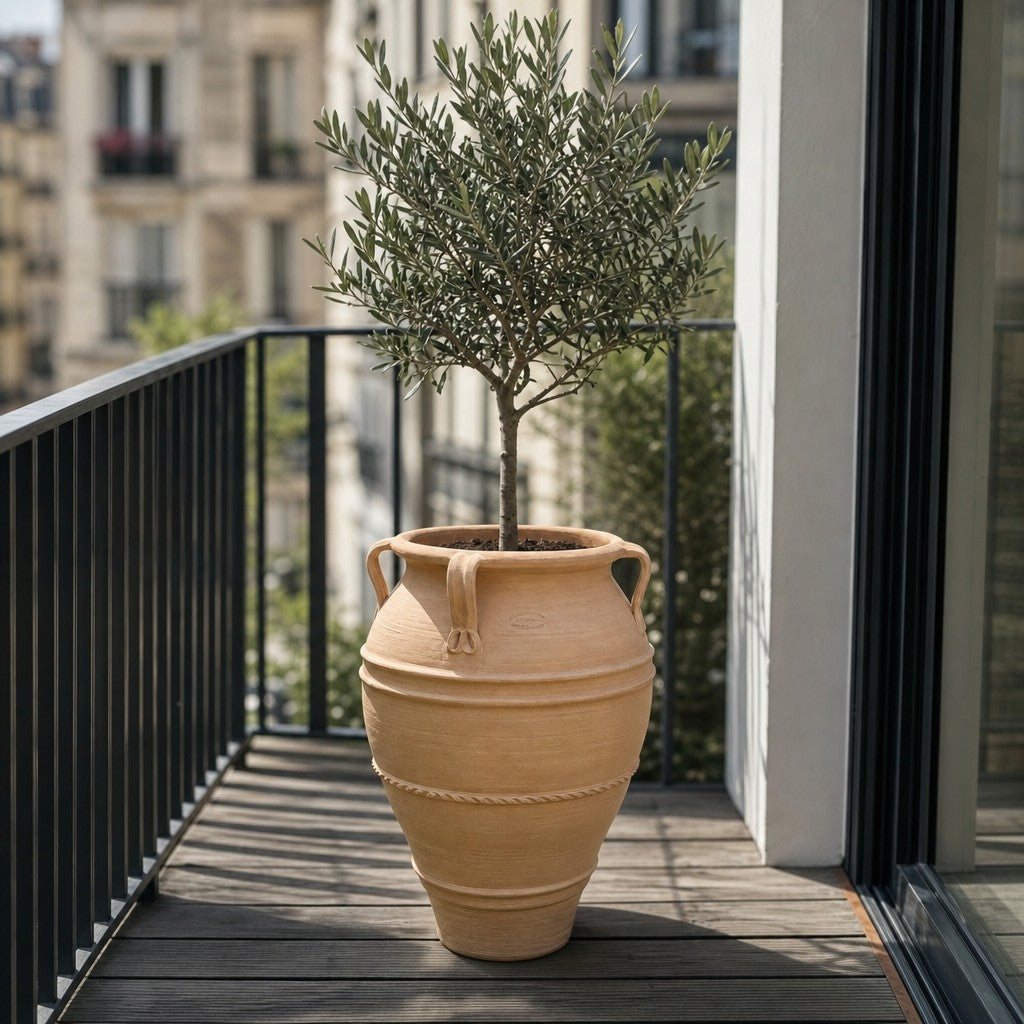 Auf einem schmalen Balkon mit schwarzem Geländer und Holzboden steht ein Olivenbaum im Topf, eingepflanzt in die XXL-Terrakotta-Amphore „Datura“ (Höhe: 100 cm), eine große beigefarbene Tonurne, vor deren Hintergrund klassische Stadtgebäude zu sehen sind.