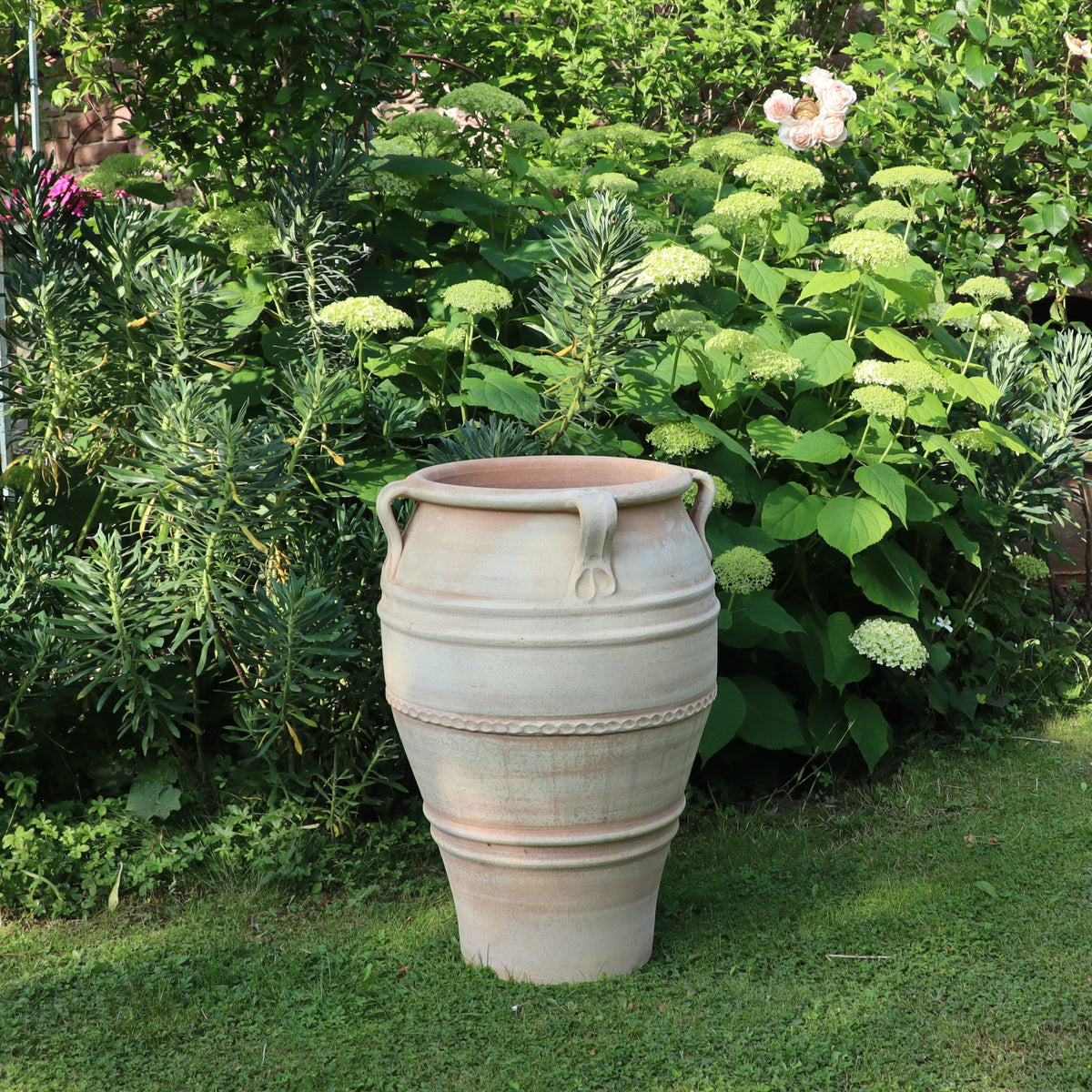 Die frostfeste Terrakotta-Amphore "Datura" (H=70 cm) steht auf einem grasbewachsenen Rasen inmitten von üppigen Pflanzen und blühenden Hortensien und bringt Charme in die lebendige Gartenszene.