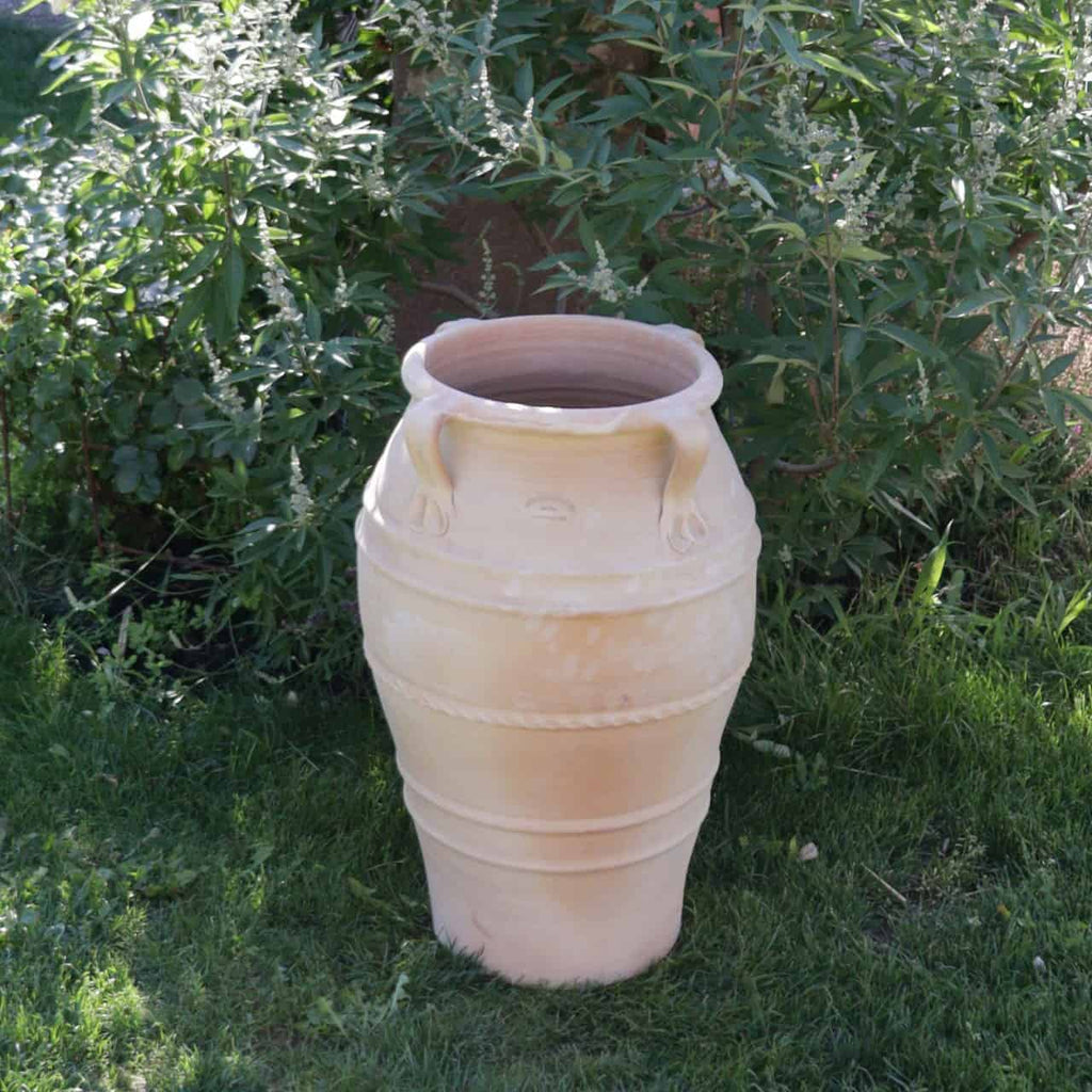 Die frostfeste Terrakotta-Amphore „Datura“ ist 70 cm hoch und schmückt eine von leuchtend grünem Laub umgebene Rasenfläche. Der große Topf hat eine weite Öffnung und einen leicht verjüngten Körper, der mit dekorativen Rillen verziert ist. Sonnenlicht durchflutet die Amphore und wirft weiche Schatten, die ihre Textur und die blühenden Datura-Blüten in der Nähe betonen.