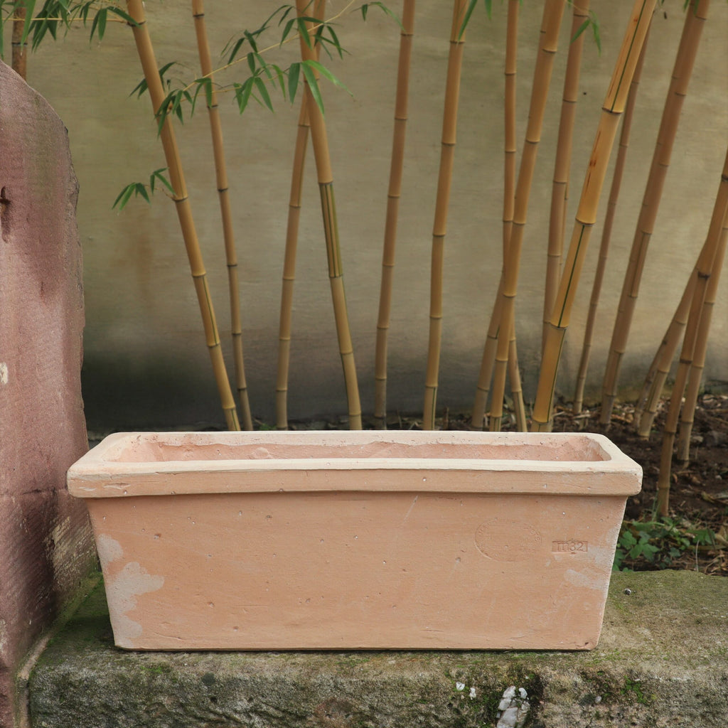 Ein rechteckiger Pflanzkasten Terrakotta „Erica“ L=40 cm steht auf einem Steinsims im Freien. Der Pflanzkasten ist leer und steht vor einer Gruppe hoher Bambusstäbe. Die Hintergrundwand ist in einem sanften, verwitterten Grün gestrichen.