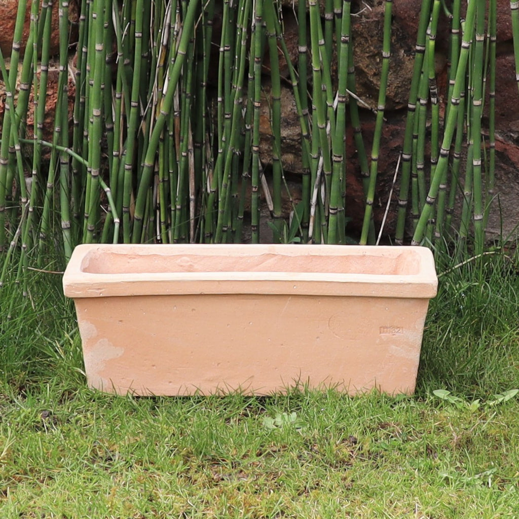 Der rechteckige Pflanzkasten Terrakotta „Erica“ L=40 cm, hellbraun in der Farbe, steht auf einer Rasenfläche mit hohen Bambuspflanzen im Hintergrund. Der Pflanzkasten ist leer und leicht verwittert, vor einer Steinmauer positioniert, die teilweise durch den Bambus verdeckt ist.