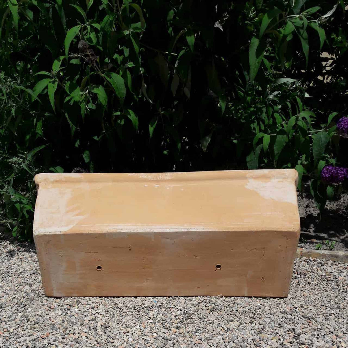 Ein rechteckiger Pflanzkasten Terrakotta „Erica“ L=60 cm in Beige steht auf einer Kiesfläche vor üppigem grünem Blattwerk. Der Pflanzkasten hat eine leicht abgerundete Oberkante und zwei kleine Löcher in der Nähe der unteren Vorderseite. Sonnenlicht wirft Schatten und verleiht der Szene Tiefe.