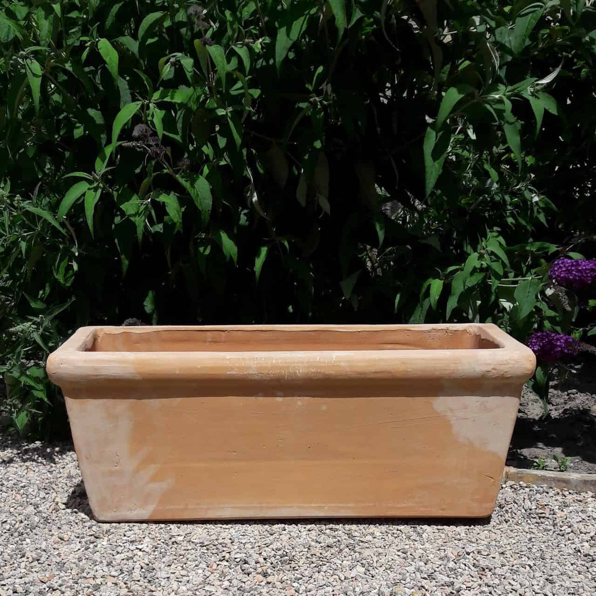 Ein rechteckiger Pflanzkasten Terrakotta „Erica“ L=60 cm steht auf einer Kiesfläche, dahinter üppiges grünes Laub. Der Pflanzkasten ist leer, und das Sonnenlicht wirft Schatten, die seine strukturierte Oberfläche betonen.