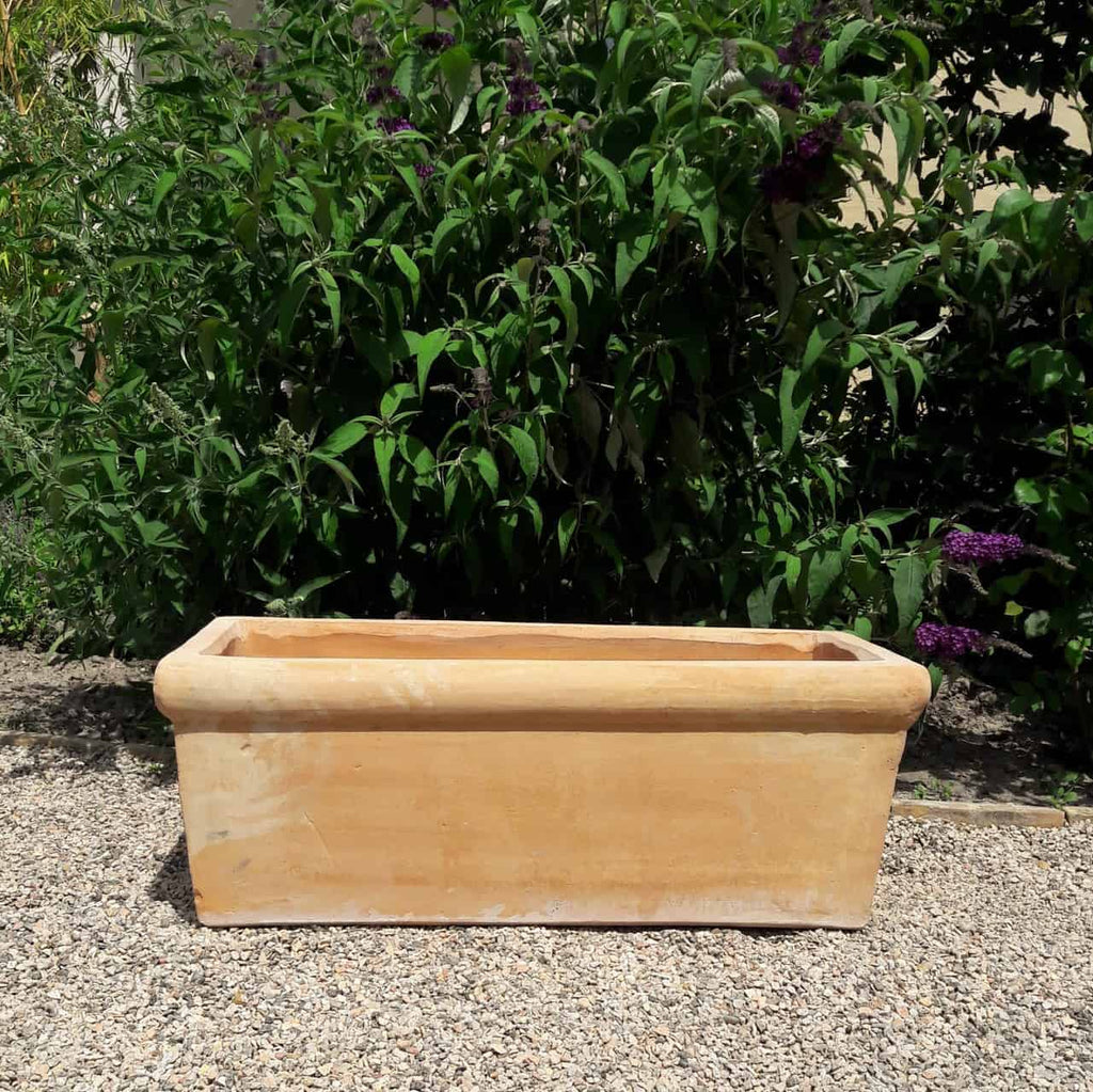 Ein rechteckiger Pflanzkasten Terrakotta "Erica" L=60 cm in beigem Terrakotta steht leer auf einem Kiesboden mit üppigem grünem Laub im Hintergrund. Der Pflanzkasten hat ein einfaches, schmuckloses Design und der umgebende Garten verleiht der Szene einen Hauch von Natur.