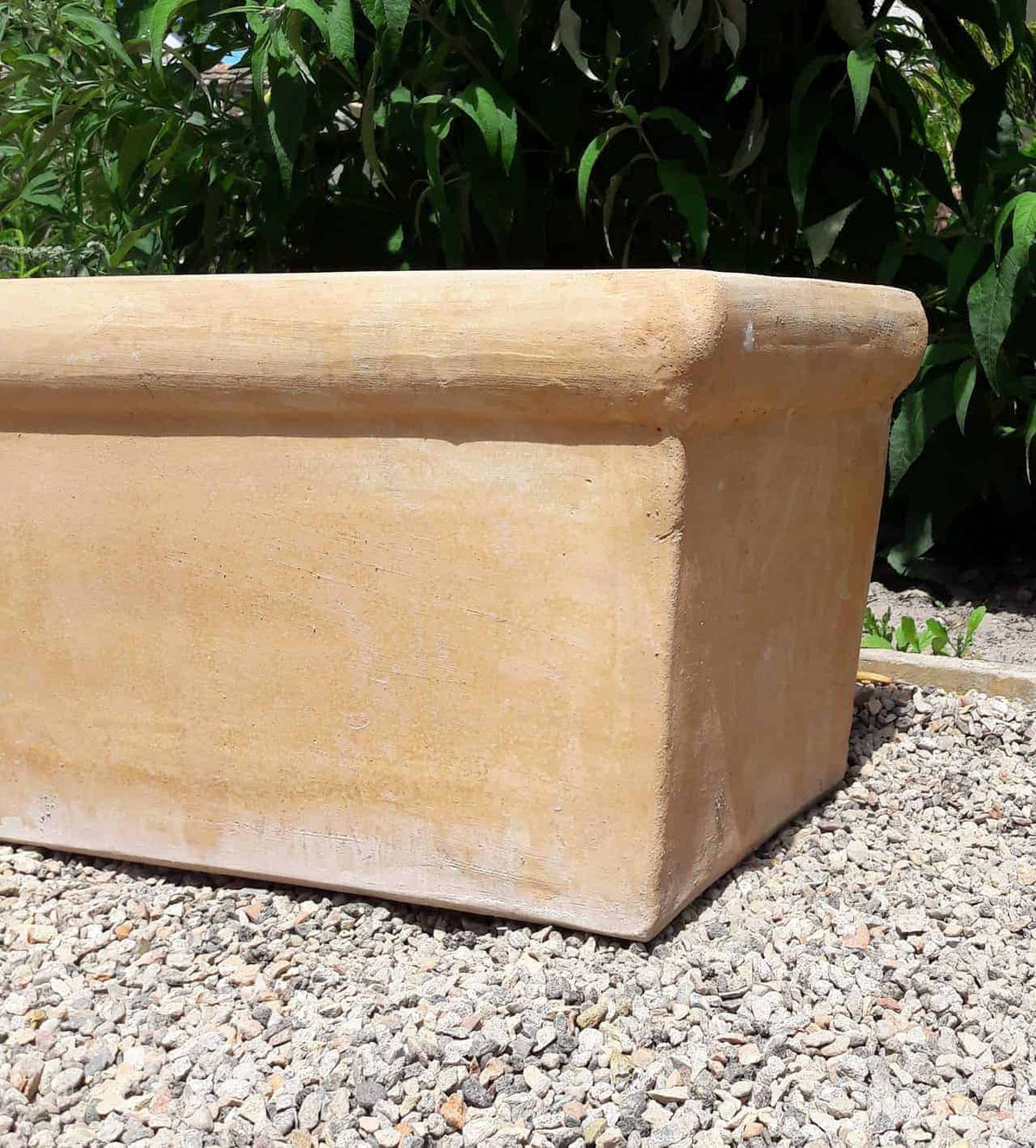 Ein großer rechteckiger Pflanzkasten Terrakotta „Erica“ L=60 cm steht auf einer Kiesfläche, sein beiger Farbton mit leicht strukturierter Oberfläche und breiter Lippe lässt vermuten, dass er aus Terrakotta besteht. Im Hintergrund rahmt üppiges grünes Laub die Szene wunderschön ein.