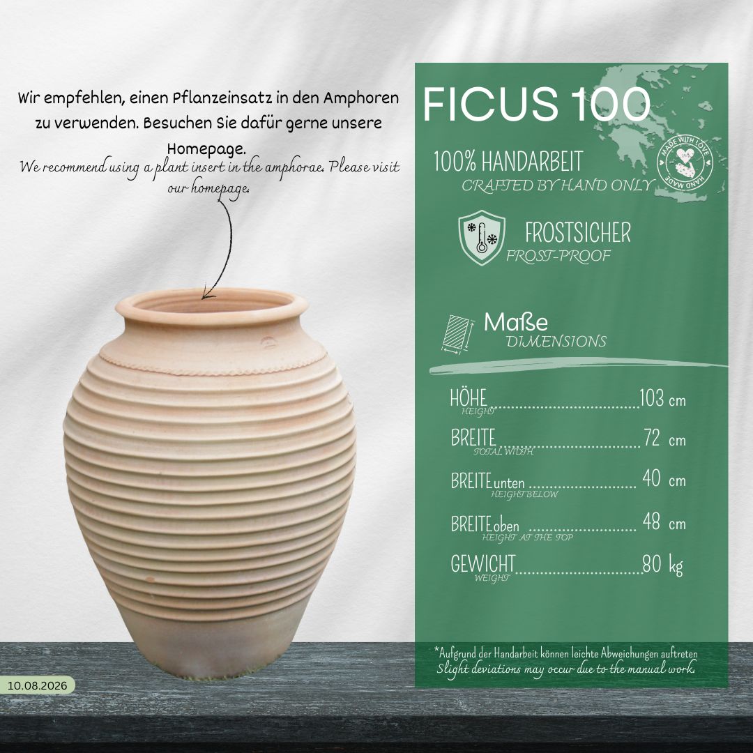 Neben einer beigen, winterharten Dekorationsamphore „Ficus“ (H=100 cm) steht eine grüne Infokarte, auf der Maße, Gewicht, Materialien, Pflegehinweise und „FICUS 100“ in großer Schrift auf einem hellen Untergrund mit sanftgrünem Hintergrund angegeben sind. Dieser elegante Pflanzkübel ist beeindruckende 100 cm hoch und eignet sich somit ideal als Blickfang für Ihre Innen- oder Außendekoration.