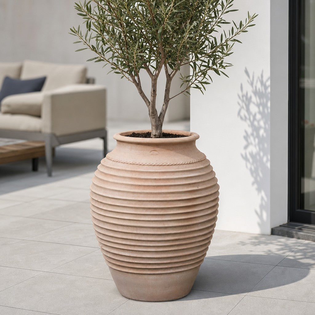 Eine winterharte Dekorationsamphore „Ficus“ (H = 100 cm) aus Terrakotta steht auf einer hellgrau gefliesten Terrasse in der Nähe einer weißen Wand und ist mit einem kleinen Ficus (80 cm) bepflanzt; im Hintergrund ist ein beiges Gartensofa zu sehen.