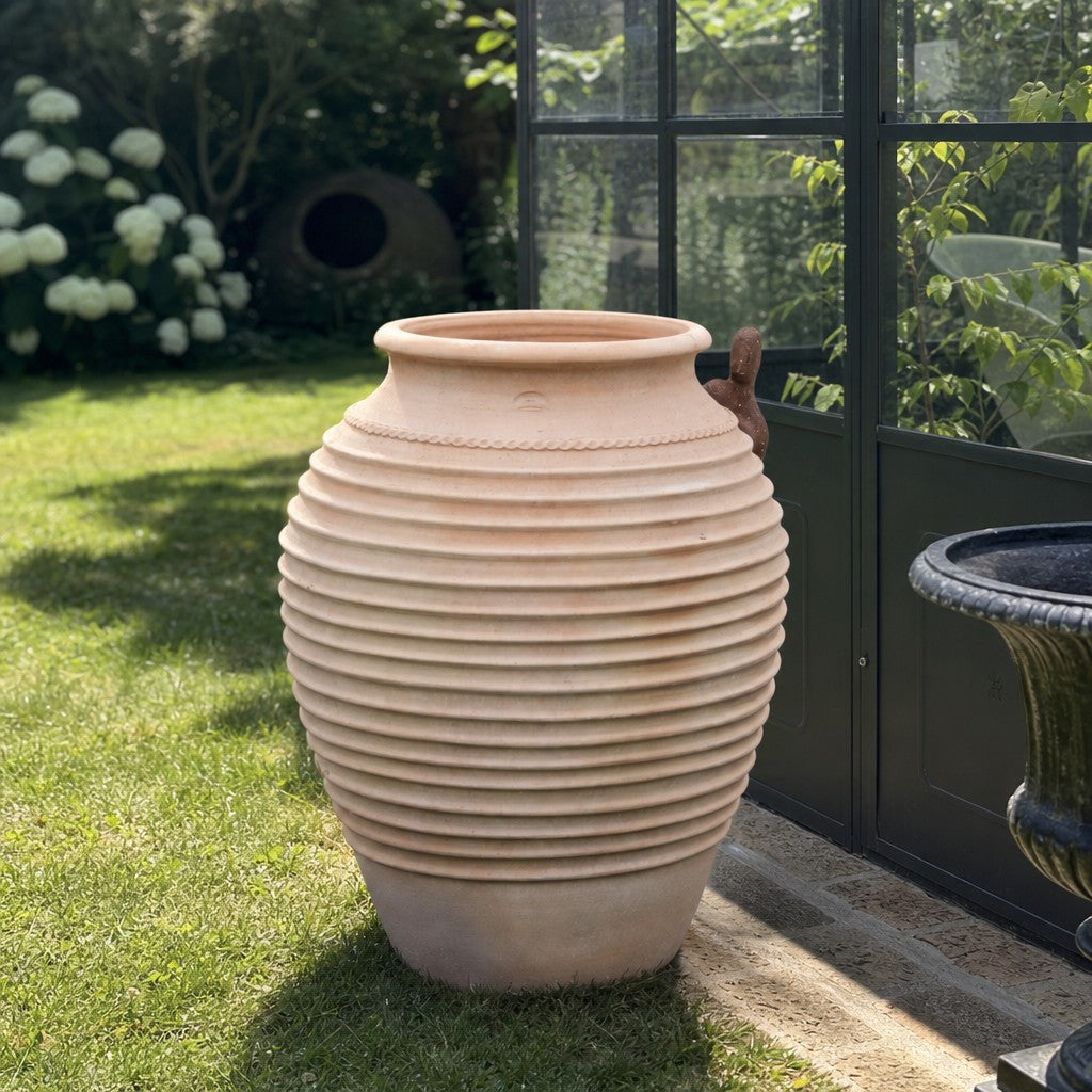 Eine winterharte Dekorationsamphore „Ficus“ (H = 100 cm) steht auf einer Steinterrasse neben einem Gewächshaus; im Hintergrund sind an einem sonnigen Tag grüner Rasen und Blattpflanzen zu sehen.