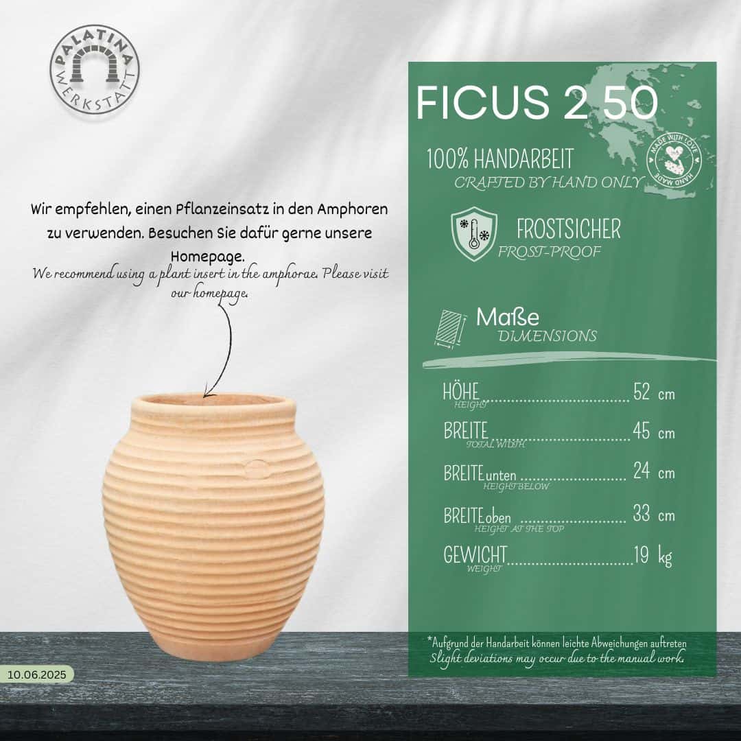 Die beige, winterfeste Dekorationsamphore "Ficus 2" H=50cm steht neben einer grünen Infokarte mit Maßen und Merkmalen auf Deutsch; oben links ist das Palatinawerkstatt Logo zu sehen.