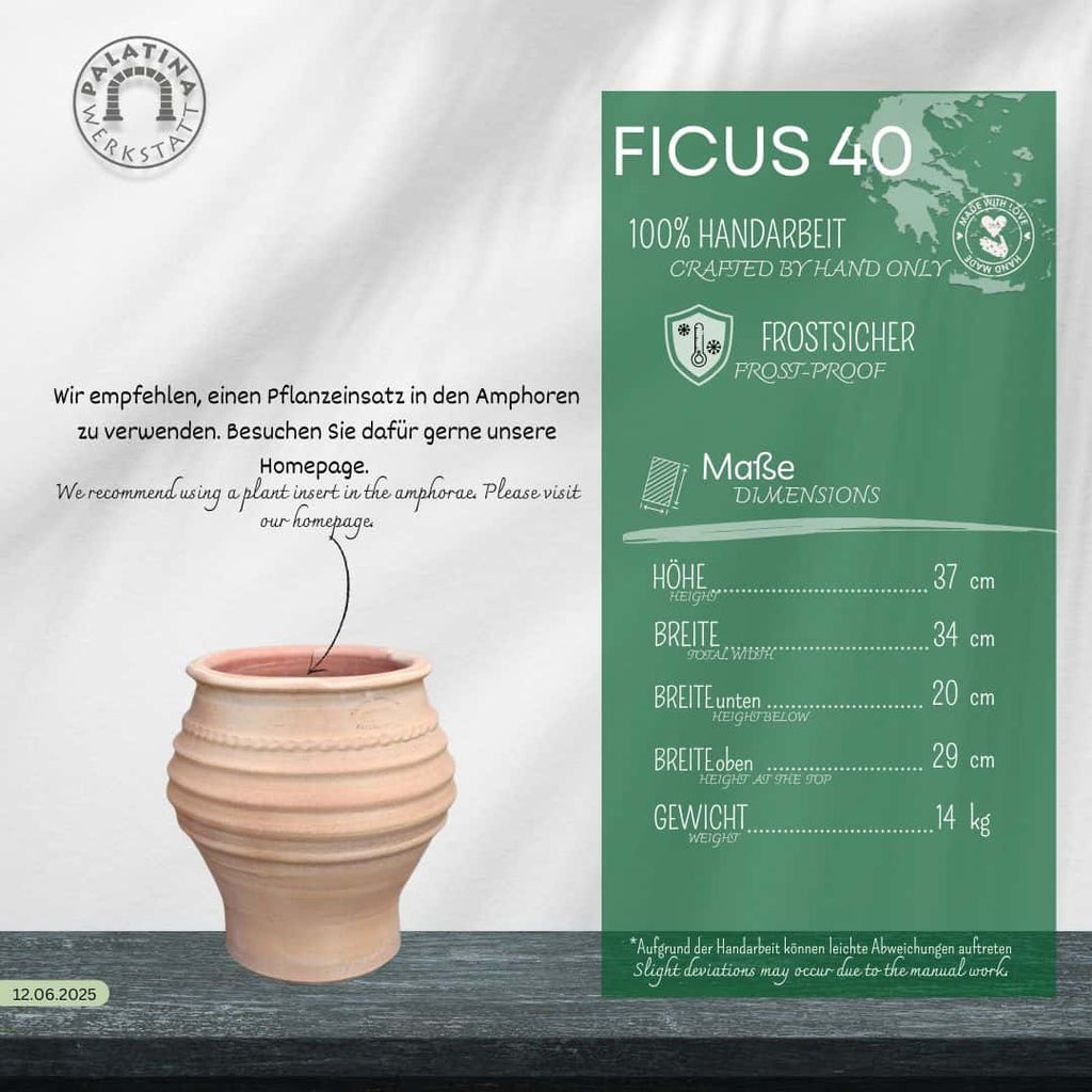 Infografik für die kleine Pflanzamphore "Ficus", H=40cm, handgefertigt mit beigem Keramiktopf. Zeigt die Abmessungen, das Gewicht, die Frostbeständigkeit und einen Pflanzvorschlag. Text in Deutsch und Englisch verfügbar.