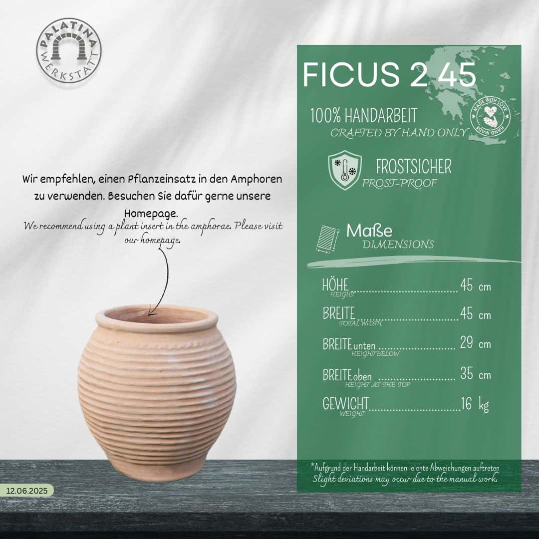 Ein beigefarbener, gerippter winterfester Dekorationsamphore "Ficus 2" H=45cm steht auf einer Holzfläche neben einer grünen Infokarte für "Ficus 2" mit Maßen, Pflegetipps und dem Logo der Palatium Werkstatt in Deutsch und Englisch.
