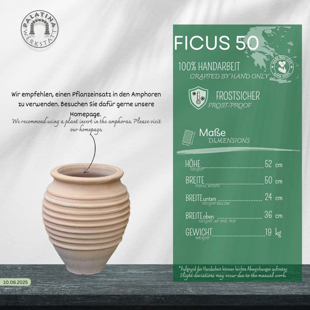 Ein beigefarbener winterfester Dekorationsamphore "Ficus" H=50cm steht auf einer weißen Fläche neben einer grünen Infokarte, die die handwerkliche Qualität, die Frostbeständigkeit und die Maße in Deutsch und Englisch angibt, mit sichtbarem Logo und Angaben zur Website.