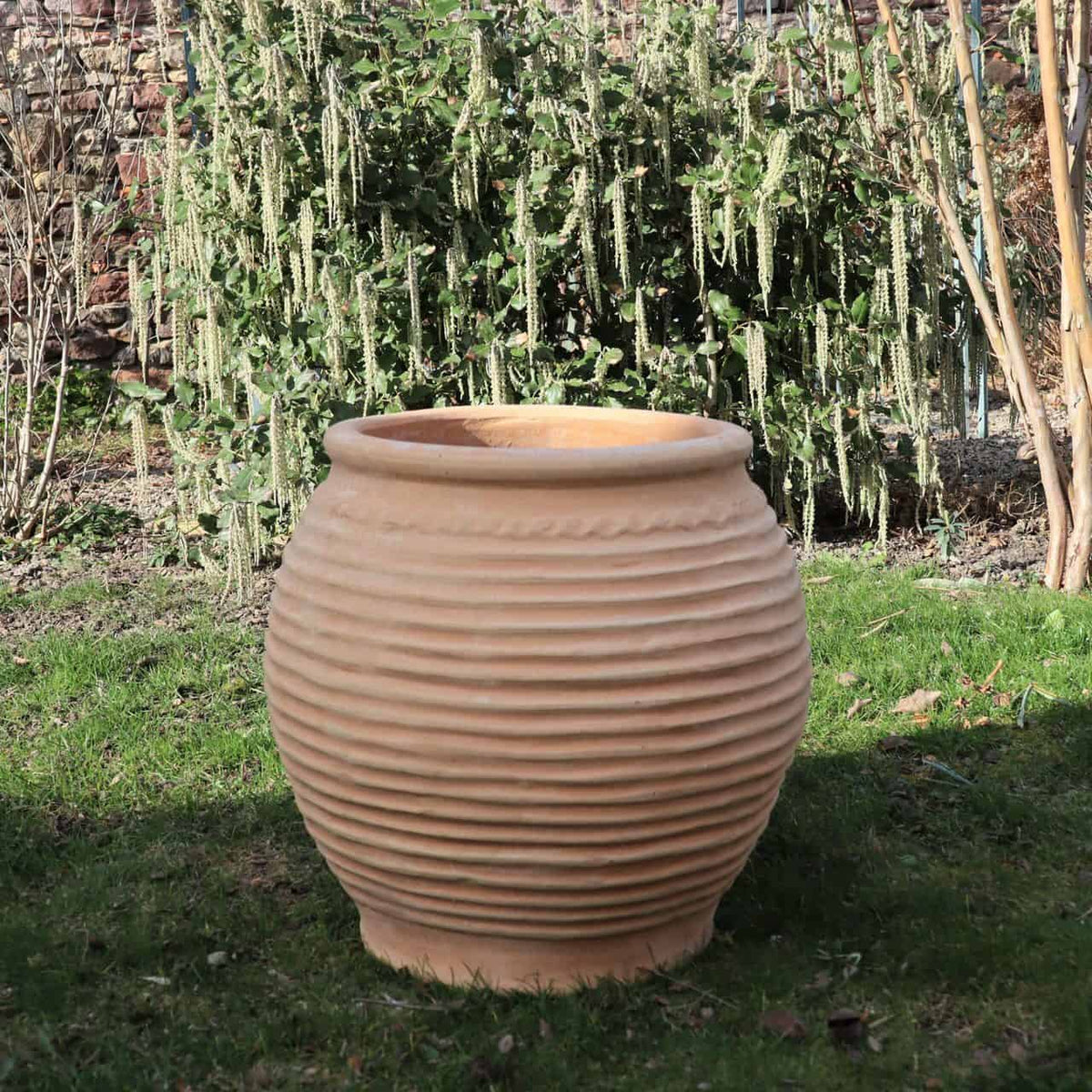 Eine große winterfeste Dekorationsamphore „Ficus 2“ H=45cm steht leer auf einer Rasenfläche. Hinter dem Pflanzgefäß befindet sich ein üppiger Garten mit einer Vielzahl von Grünpflanzen und Sträuchern, darunter ein blühender Ficus. Natürliches Sonnenlicht erhellt die Außenszene.