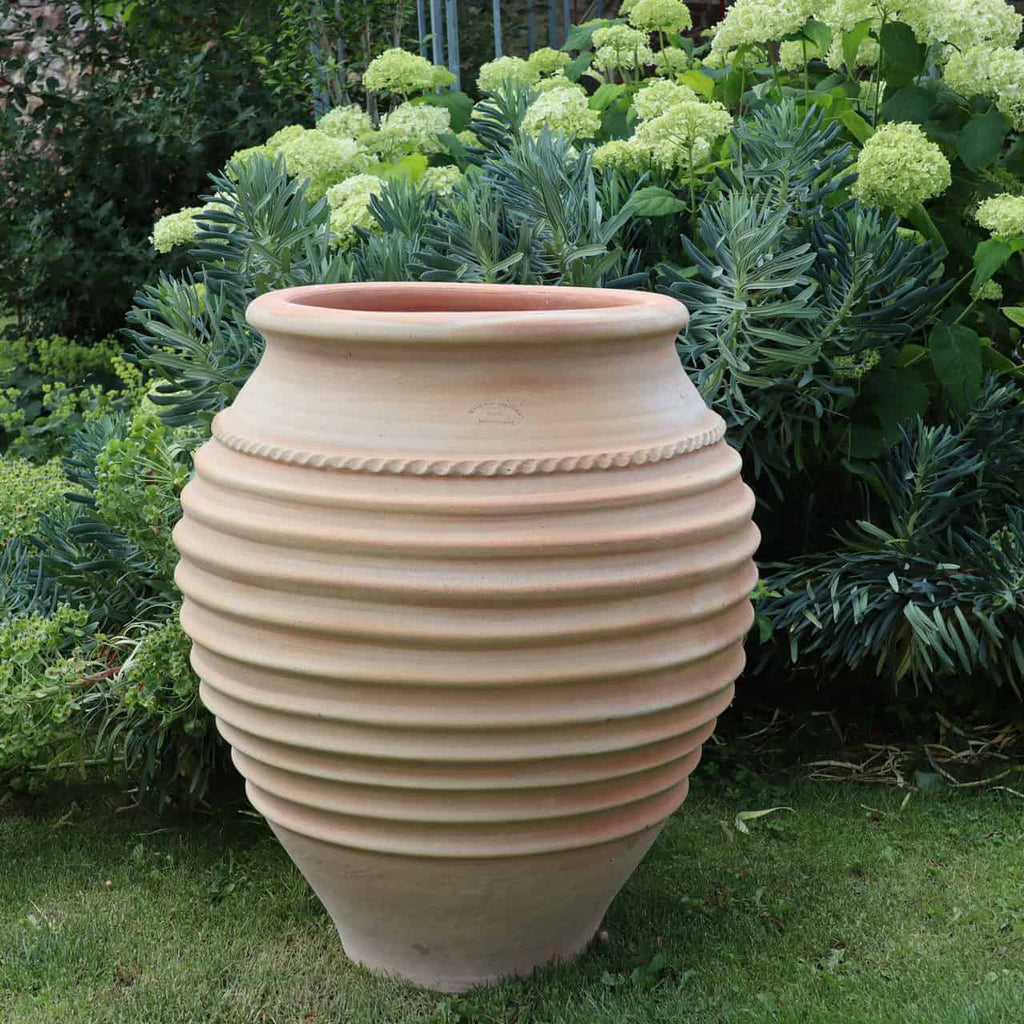 Der frostfeste, 70 cm hohe Amphore Garten „Ficus“ mit geriffeltem Design wird auf einer Rasenfläche vor üppigem Grün, unter anderem mit weiß blühenden Hortensien, platziert.