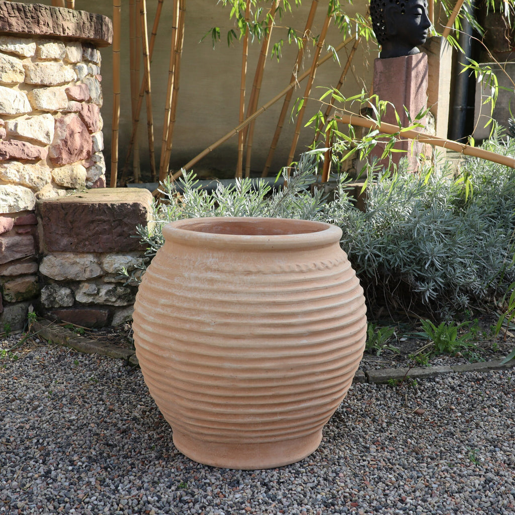 Ein großer, gerippter Terrakottatopf steht auf einer Kiesfläche in einem Garten. Im Hintergrund sind Bambuspflanzen, eine Steinmauer und einige Sträucher zu sehen. Inmitten des Grüns steht die stattliche winterfeste Dekorationsamphore „Ficus 2“ H=45cm. Die ruhige Umgebung wird durch dieses zeitlose Stück für einen dauerhaften Reiz vervollständigt.