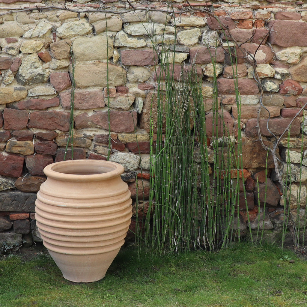 Eine große, beige winterfeste Dekoamphore „Ficus“ H=50cm steht auf Gras neben hohem grünem Schilf vor einer rustikalen Steinmauer. Die Mauer besteht aus Steinen unterschiedlicher Größe in Rot-, Beige- und Brauntönen. Trockene, blattlose Zweige hängen über den oberen Teil der Mauer und schaffen eine ruhige Atmosphäre.