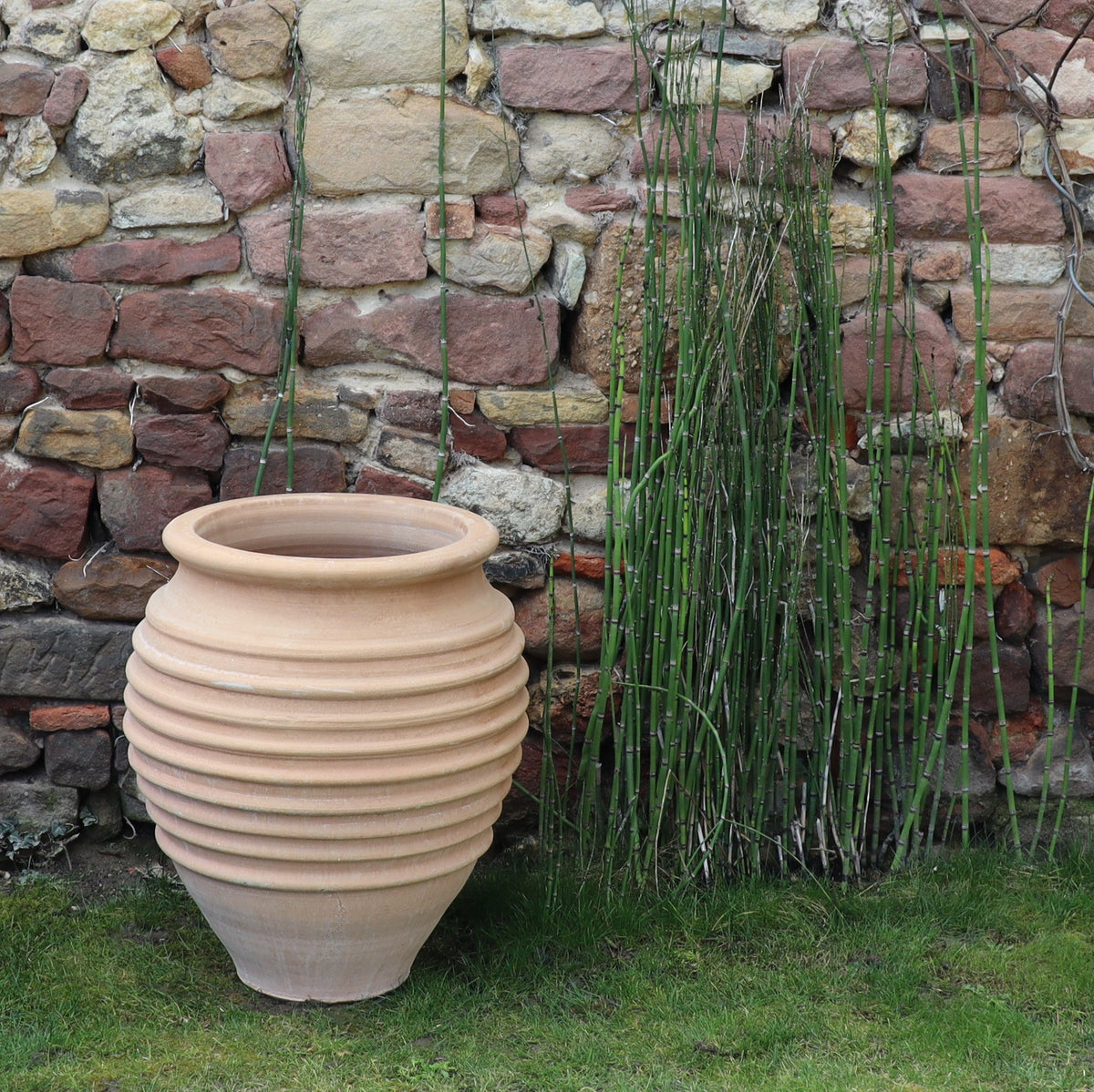 Ein großer, beiger, gerippter Keramiktopf steht auf grünem Gras neben einer Gruppe hoher, dünner Bambuspflanzen vor einer rustikalen Steinmauer. In der Nähe verleiht ein Terrakotta-Amphore-Garten „Ficus“ (Höhe 60 cm) der Gartenszene eine künstlerische Note.