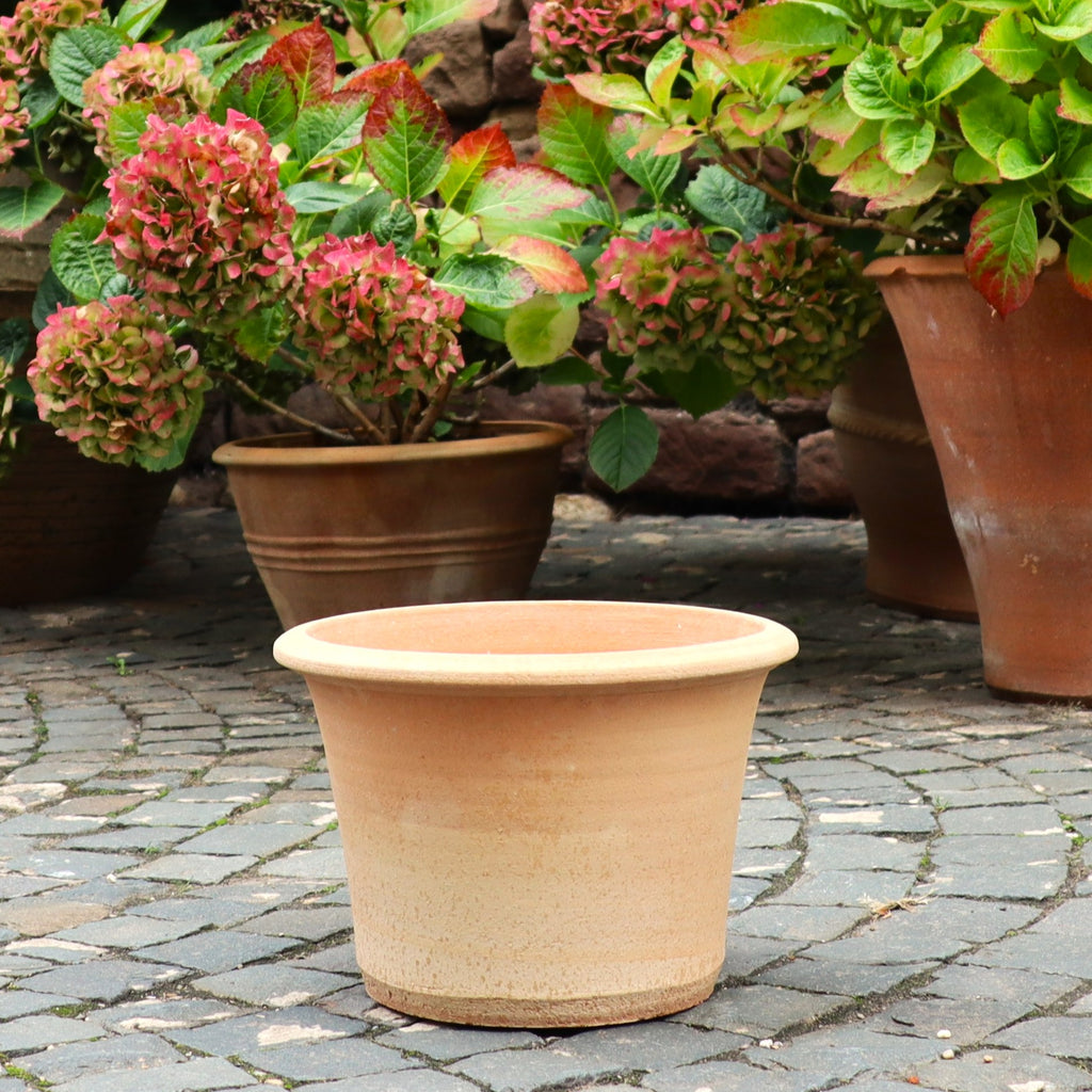 Der Terrakotta Pflanztopf "Hosta" 35 cm - handgemacht & frostfest - steht leer mit Ablaufloch auf einer Stein-Terrasse, umgeben von Hortensien mit grünen und pinken Blüten.