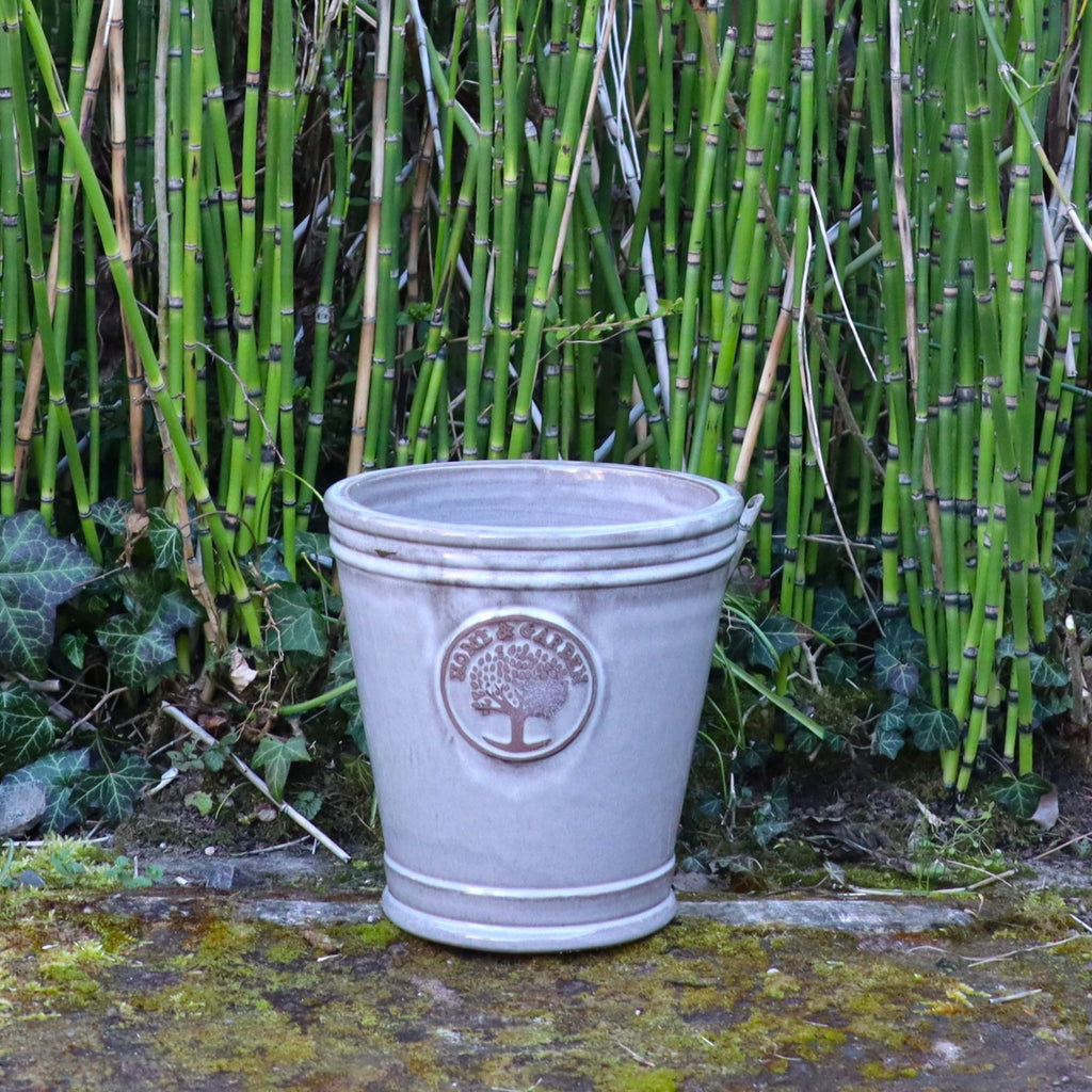 Ein weißer Keramiktopf mit Baum-Emblem steht vor üppigem Bambus und Efeu neben dem kleineren, glasierten Pflanzkübel „Cappuccino“ (Höhe 15–24 cm) und verleiht dem Ganzen einen Hauch von natürlicher Eleganz.