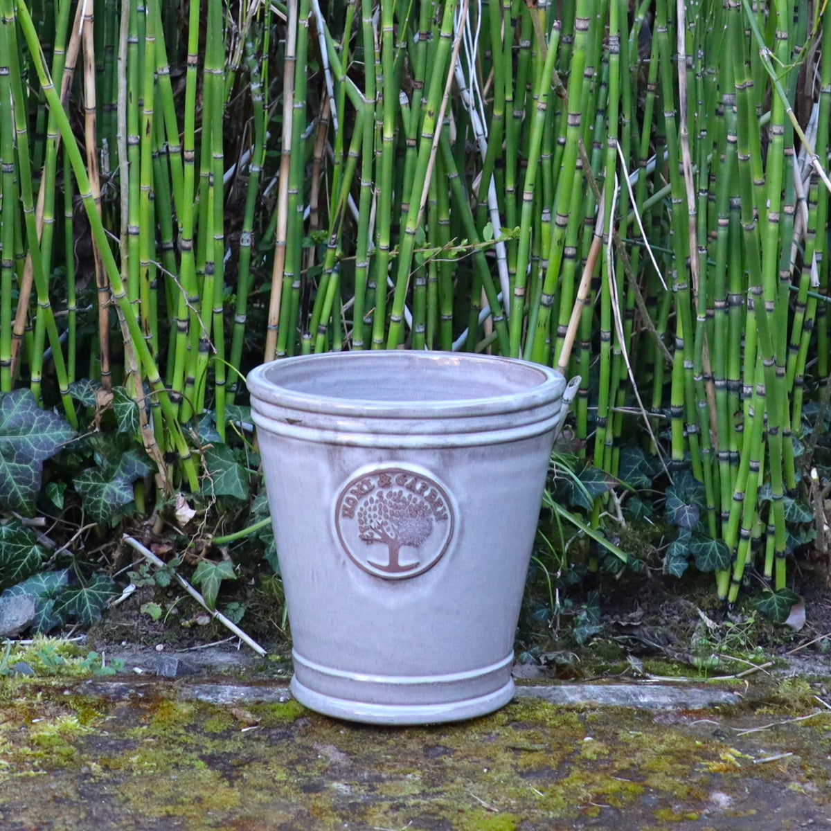 Ein weißer Keramiktopf mit Baum-Emblem steht vor üppigem Bambus und Efeu neben dem kleineren, glasierten Pflanzkübel „Cappuccino“ (Höhe 15–24 cm) und verleiht dem Ganzen einen Hauch von natürlicher Eleganz.