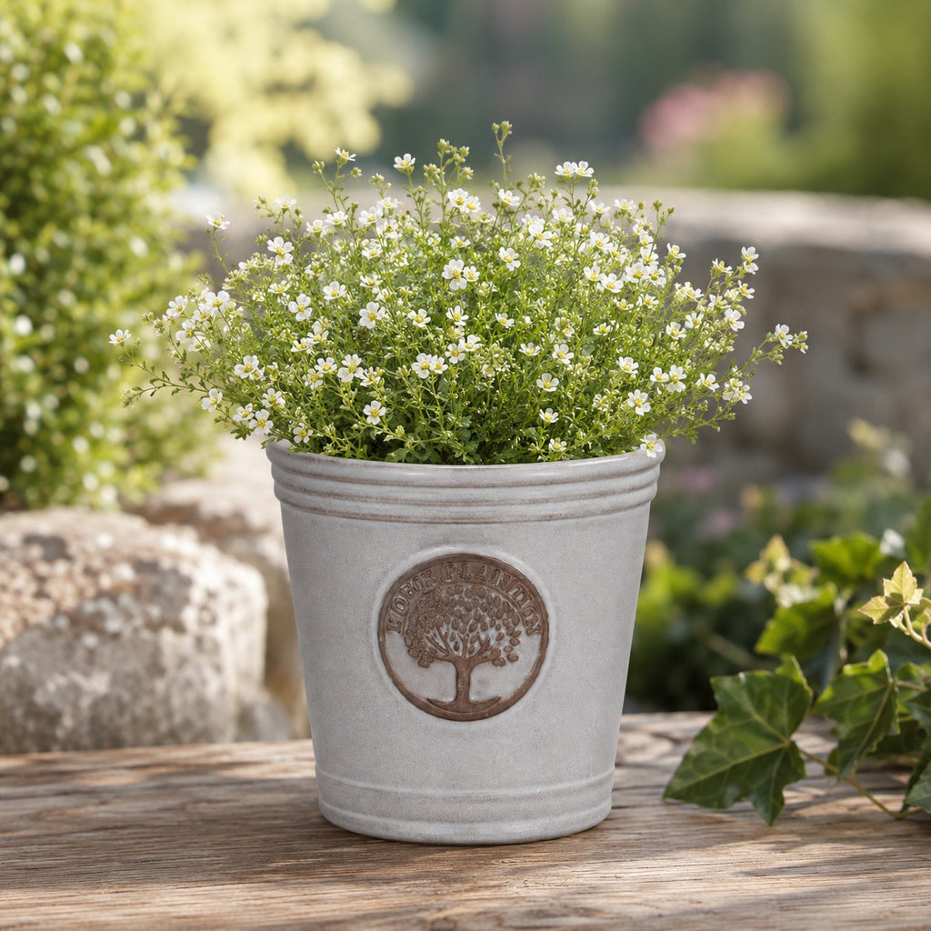 Der kleine, glasierte Pflanzkübel „Cappuccino“ (Höhe 15–24 cm) mit Baum-Emblem präsentiert eine üppige grüne Pflanze mit weißen Blüten und steht im Freien auf Holz, umgeben von Natur und Steinen.