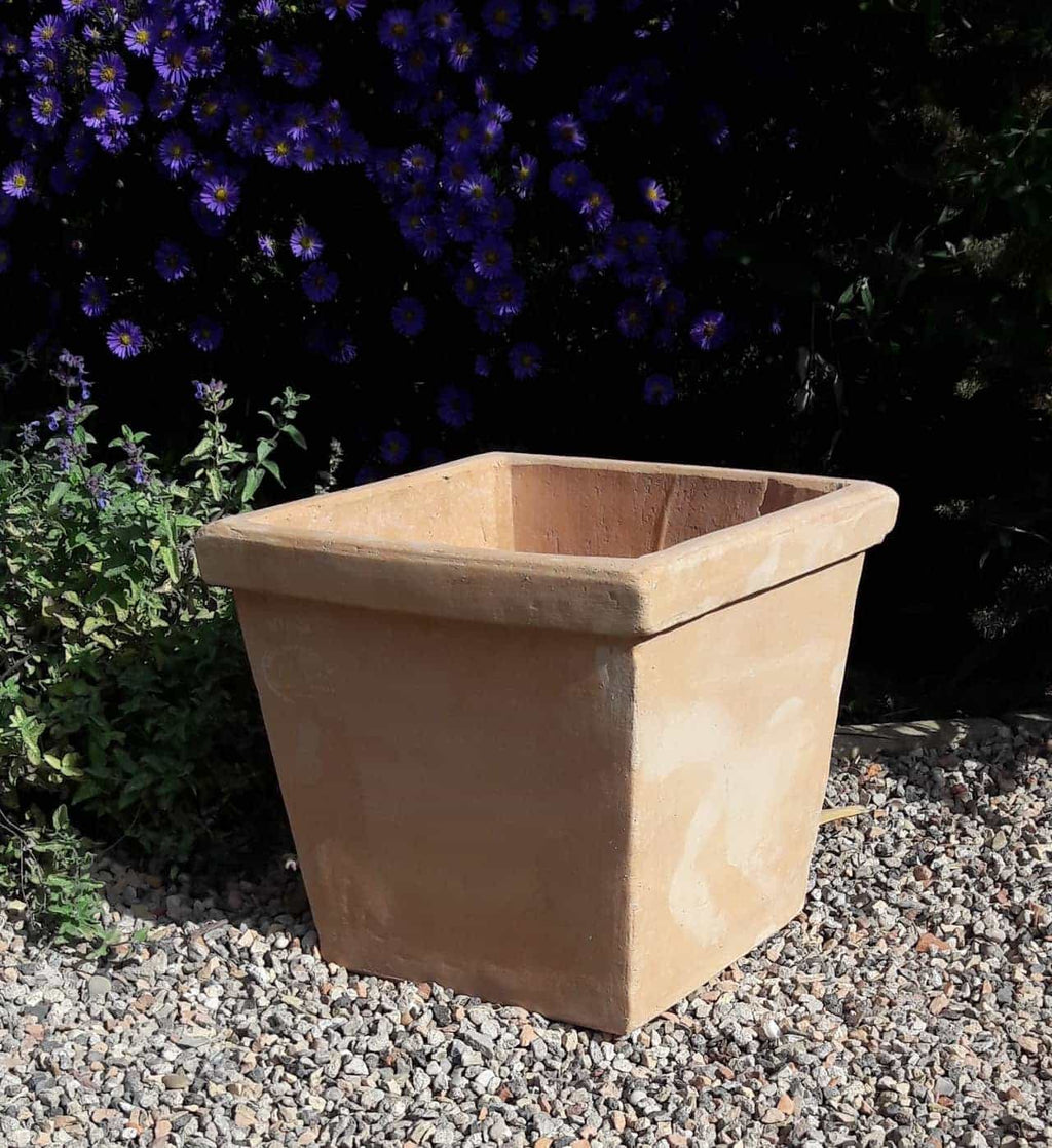 Ein quadratischer, beigefarbener Terrakotta-Pflanztopf „Laurus“ mit einer Höhe von 26 cm steht auf einer Kiesfläche im Außenbereich. Der Pflanztopf ist leer und steht vor einem Hintergrund aus üppigem grünem Laub und violetten Blüten, teilweise im Schatten.