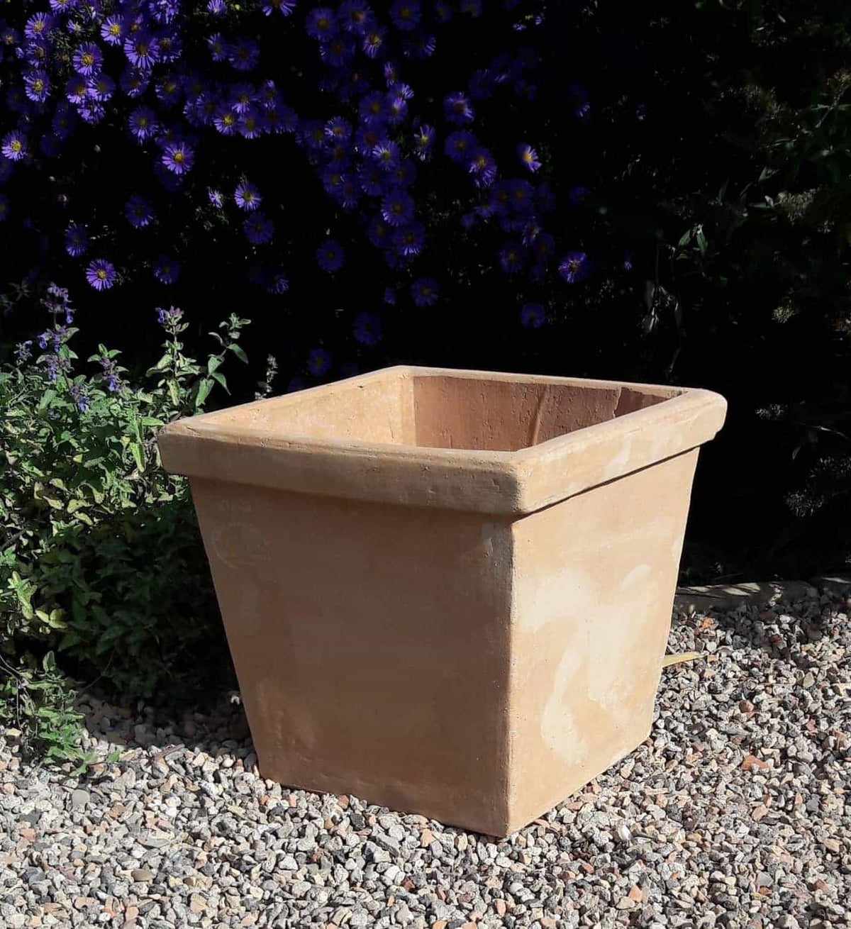 Ein quadratischer, beigefarbener Terrakotta-Pflanztopf „Laurus“ mit einer Höhe von 26 cm steht auf einer Kiesfläche im Außenbereich. Der Pflanztopf ist leer und steht vor einem Hintergrund aus üppigem grünem Laub und violetten Blüten, teilweise im Schatten.