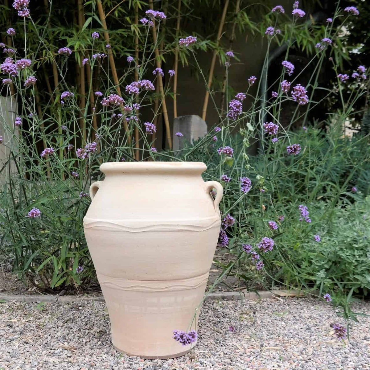 Eine hohe, beige, frostfeste Terrakotta-Amphore „Olea“ (H= 50 cm) steht auf Kies vor einem üppigen Garten mit grünen Pflanzen und violetten Olea-Blüten. Die Vase hat auf jeder Seite zwei kleine Griffe und steht vor einem Hintergrund aus bambusartigen Stielen und Blattwerk.