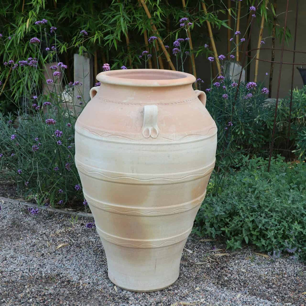 Eine frostfeste Terrakotta-Amphore „Olea“ mit einer Höhe von 100 cm, seitlichen Henkeln und dekorativen Rillen steht auf einer Kiesfläche. Um den Topf herum stehen verschiedene Grünpflanzen und violette Blumen, im Hintergrund sind höhere Bambuspflanzen zu sehen.