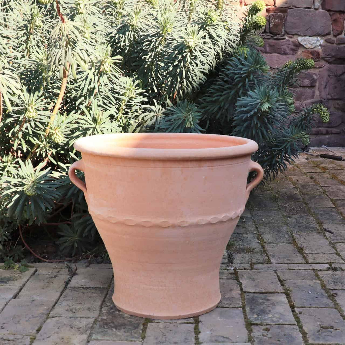 Ein großer, leerer Terrakotta-Pflanzkübel „Rosa“ H=40cm mit zwei Griffen steht auf einer gepflasterten Fläche vor üppigem Grün und einer Steinmauer. Sonnenlicht wirft Schatten auf den Boden, Pflanzen und Rosenblüten, die aus dem Grün hervorlugen.