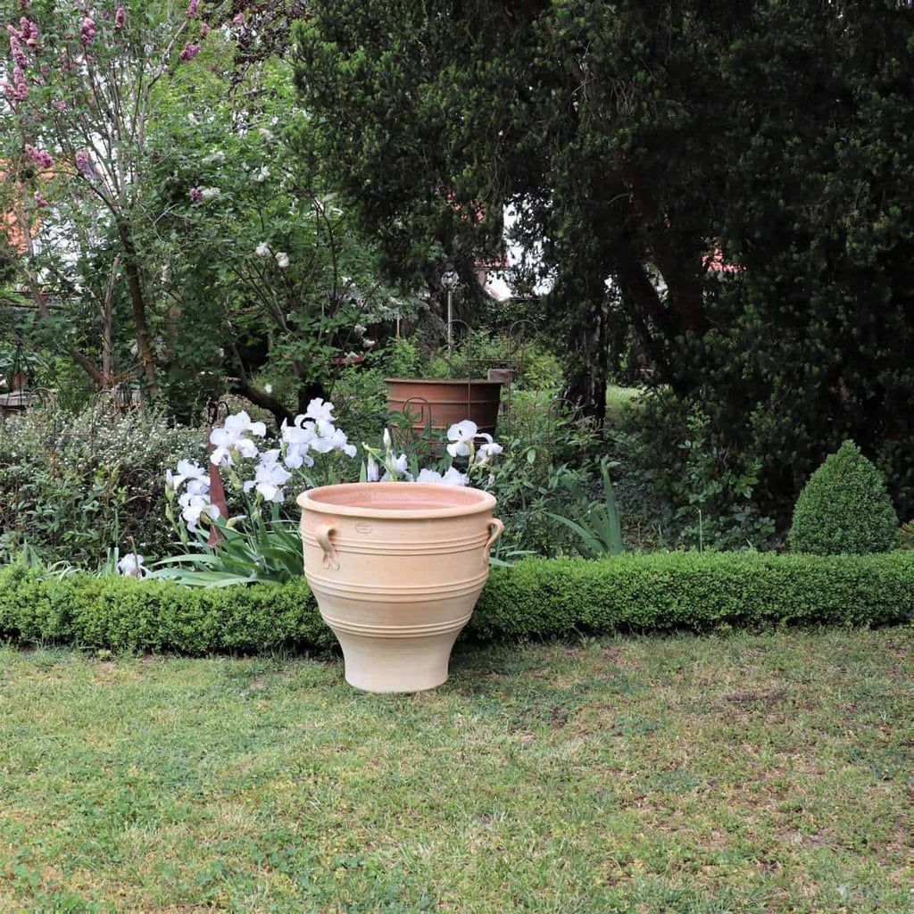Ein großer Terrakotta-Pflanzkübel „Rosa“ mit einer Höhe von 60 cm steht auf einem gepflegten Rasen, umgeben von üppigem Grün und weißen Blumen. Im Hintergrund sorgen hohe Bäume und weitere Gartenelemente für eine friedliche Außenumgebung.