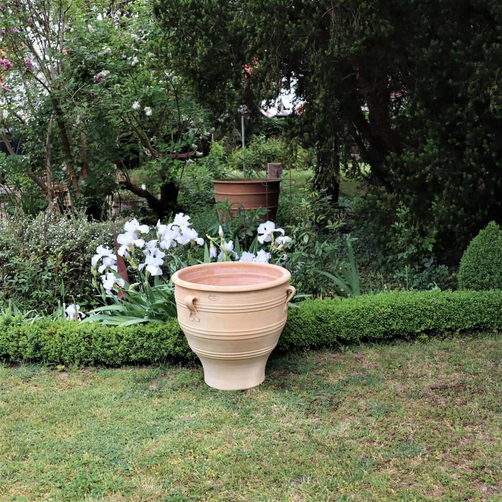 Eine Gartenszene mit einem großen beigefarbenen Keramiktopf auf einer Rasenfläche vor einer gepflegten Hecke. Hinter der Hecke blühen weiße Blumen inmitten üppiger grüner Blätter. Im Hintergrund ist ein kleinerer Terrakotta-Pflanzkübel „Rosa“, H=60 cm, zu sehen, umgeben von hohem Gras und Rosenbäumen.