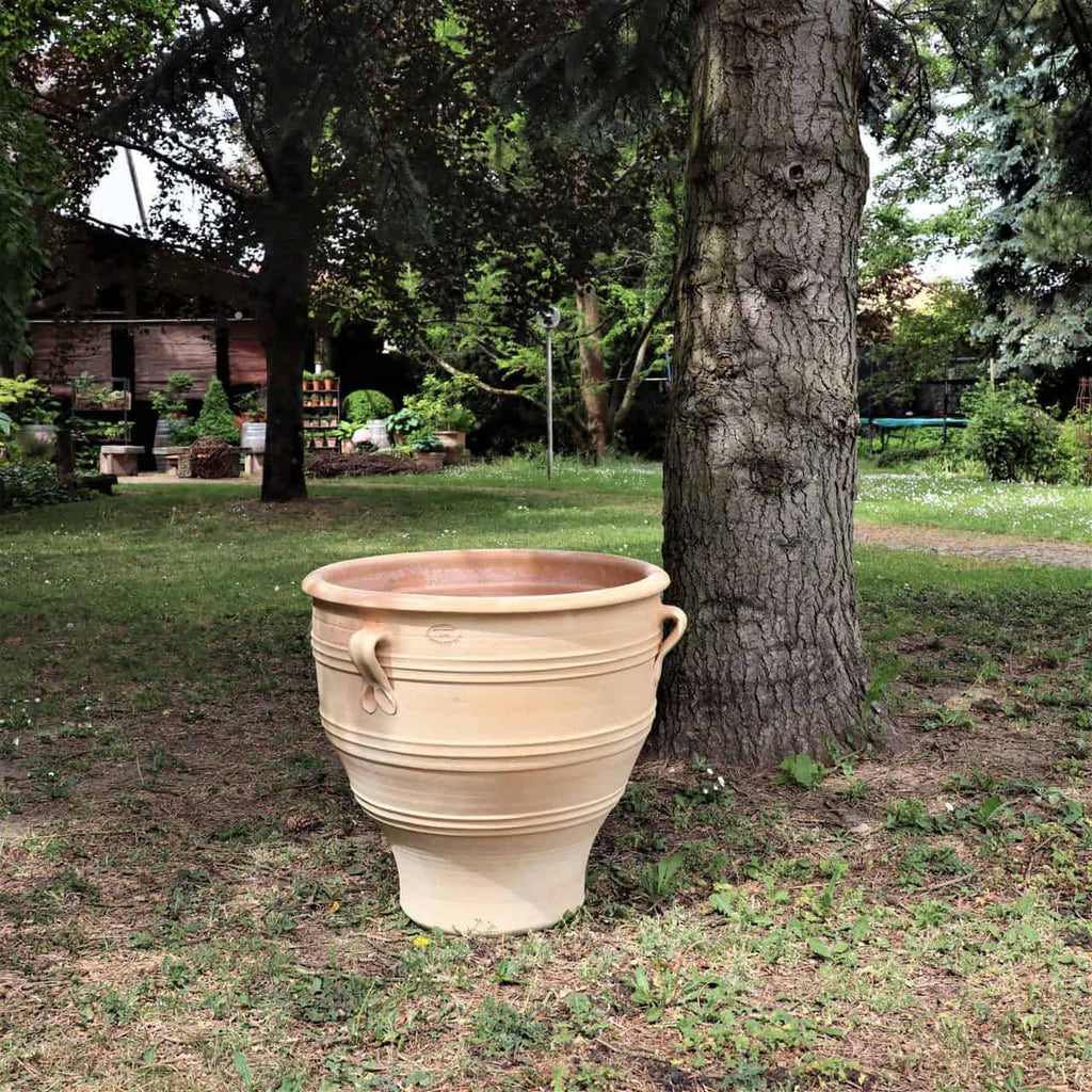 Ein großer, heller Terrakotta-Pflanzkübel „Rosa“, 60 cm hoch und mit Griffen versehen, steht auf dem Rasen neben einem Baumstamm in einem Garten. Der Hintergrund besteht aus üppigem Grün, Bäumen und einem leicht verschwommenen Gartenhäuschen, was die friedliche und natürliche Atmosphäre im Freien verstärkt. Dieser Terrakotta-Pflanzkübel verleiht der Szene rustikalen Charme.
