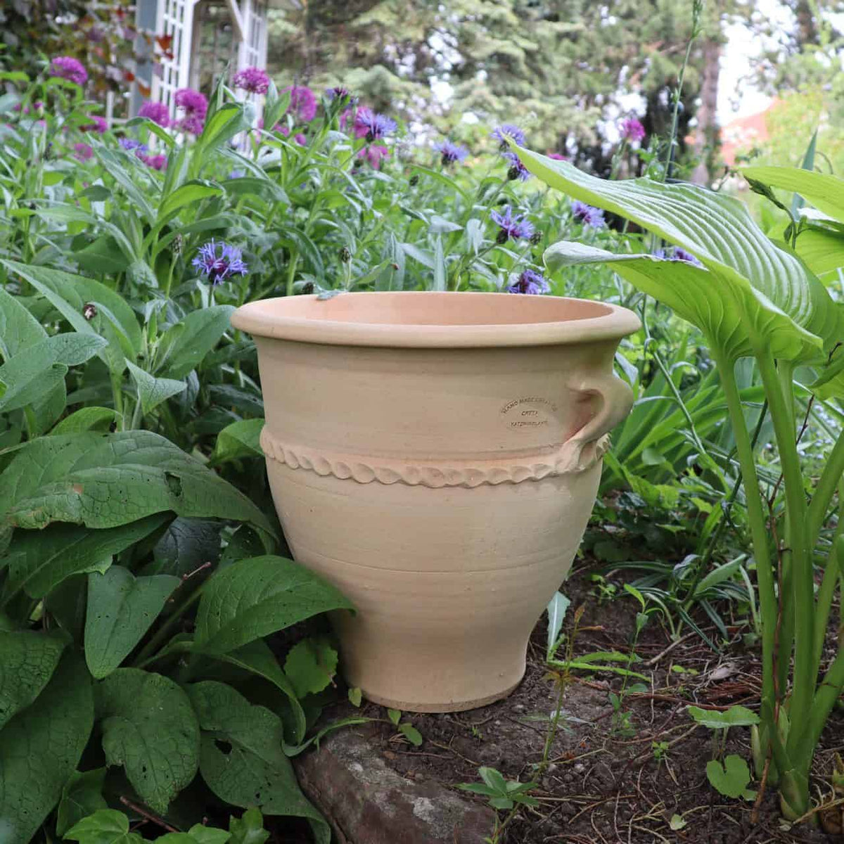 Ein großer, beiger Keramiktopf mit dekorativem Rand steht in einem üppigen Garten, umgeben von verschiedenen Grünpflanzen und violetten Rosenblüten. Daneben steht der 35 cm hohe Terrakotta-Pflanzkübel „Rosa 2“. Im Hintergrund ist ein Teil eines Hauses mit Fenster zu sehen.