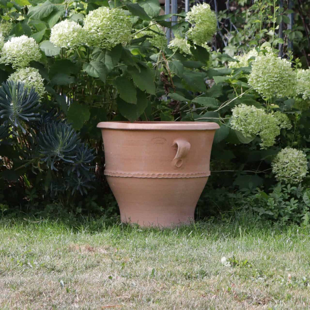 Ein großer, beiger Pflanzkübel aus Keramik mit seitlichem Griff steht auf einem Rasenstück in einem Garten. Hinter dem Terrakotta-Pflanzkübel „Rosa 2“, H=40cm, stehen üppige grüne Büsche mit hellgrünen Blütenständen. Im Hintergrund ist ein Teil eines Zauns zu sehen.