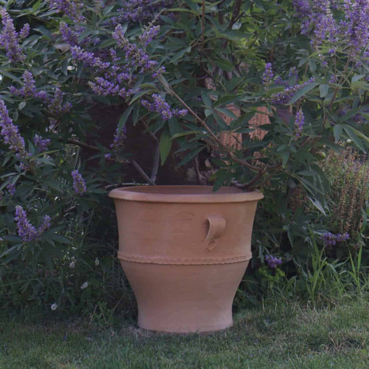 Ein Terrakotta-Pflanzkübel „Rosa 2“ mit einer Höhe von 40 cm und einem dekorativen Band steht auf einem Rasenstück. Hinter dem Topf ist ein üppiger Busch mit zahlreichen kleinen lila Blüten zu sehen, die dem grünen Laub einen Farbtupfer verleihen. Die Gesamtszene scheint in einer Gartenkulisse zu sein.