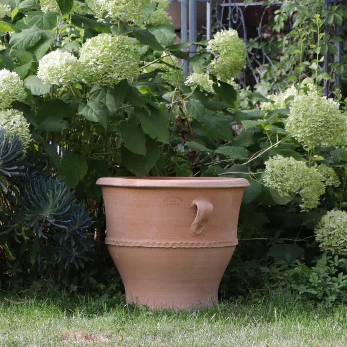Ein großer Terrakotta-Pflanzkübel „Rosa 2“ in Beige, 40 cm hoch und mit einem Griff ausgestattet, steht auf grünem Gras, umgeben von blühenden weißen Hortensien und üppigem grünem Laub in einer Gartenumgebung.