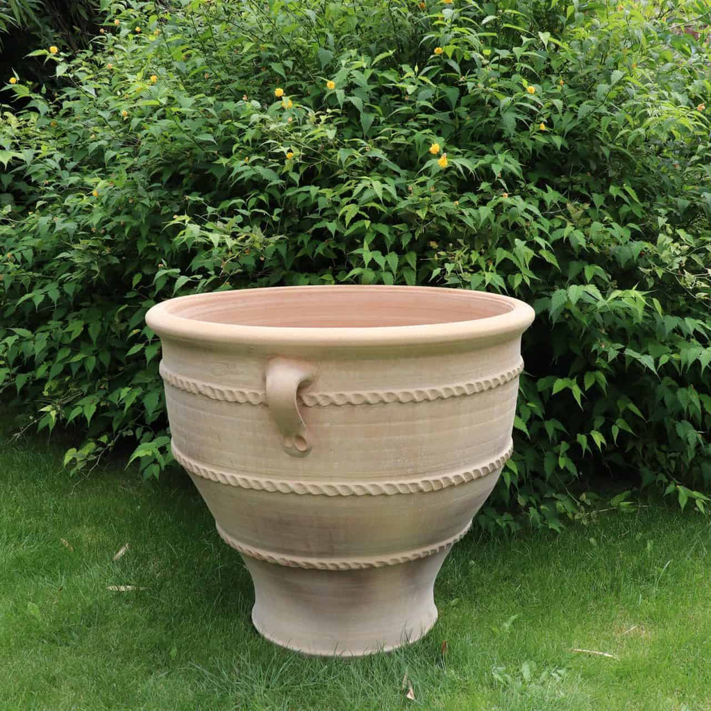 Ein großer, beigefarbener Pflanzkübel aus Terrakotta, genauer gesagt das Pflanzgefäß „Rosa 2“ mit einer Höhe von 70 cm, mit dekorativen Rillen und einem Henkel, steht auf einem saftig grünen Rasen. Im Hintergrund ist ein dichter Strauch zu sehen, der kleine gelbe Blüten trägt. Der Pflanzkübel ist leer und prominent in der Bildmitte platziert.