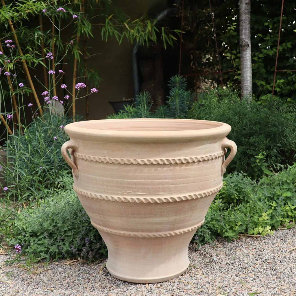 Ein großer Terrakotta-Pflanzkübel, Pflanzgefäß „Rosa 2“ H=70cm mit dekorativem seilartigem Design und zwei Griffen steht auf einer Kiesfläche in einem Garten, umgeben von üppigen grünen Pflanzen und lila Blumen.