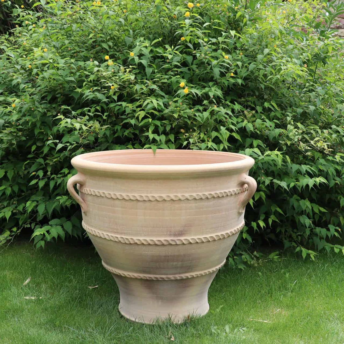 Ein großer, beigefarbener Keramikpflanzkübel mit dem Namen „großer Terracotta Pflanzkübel, Pflanzgefäß 'Rosa 2' H=70cm“ mit seilartigem Design steht auf einer Rasenfläche. Der Pflanzkübel hat zwei symmetrische Griffe und steht vor einem Hintergrund aus dichten grünen Sträuchern.