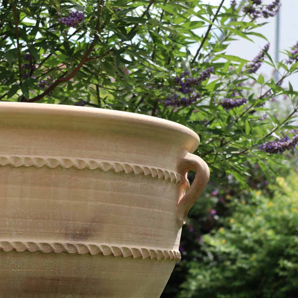 Eine Nahaufnahme eines großen Terrakotta-Pflanzkübels, Pflanzgefäß „Rosa 2“ (H=70 cm) mit dekorativen Rillen und Griffen. Der Topf, der den Charme des Pflanzgefäßes „Rosa 2“ ausstrahlt, steht vor einem Hintergrund aus üppigem Grün und blühenden lila Blumen. Sonnenlicht beleuchtet die Textur des Topfes und das Laub dahinter.