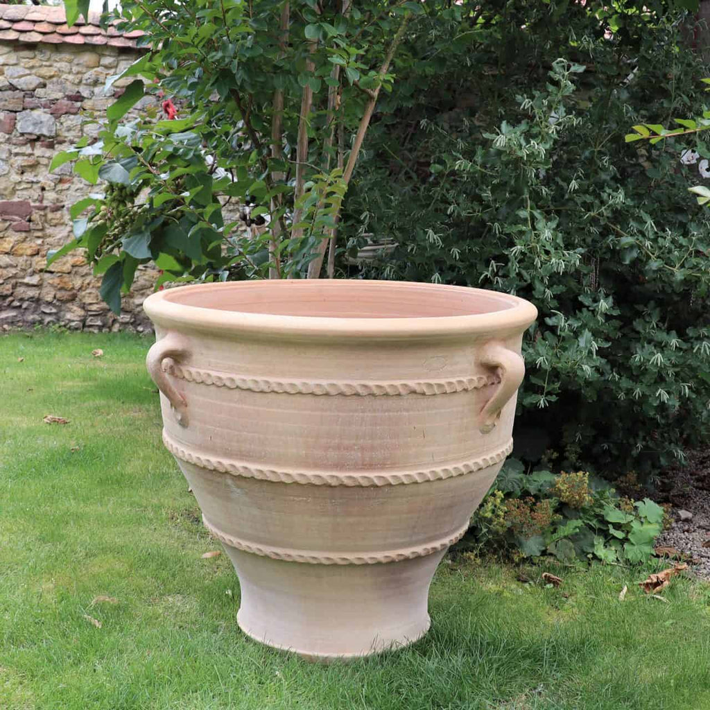 Ein großer Terrakotta Pflanzkübel, Pflanzgefäß "Rosa 2" H=70cm in Beige mit zwei dekorativen gedrehten Seilmustern und Henkeln steht auf einem gepflegten Rasen. Im Hintergrund sieht man Grünpflanzen, darunter einen Baum und einige Sträucher, sowie eine Steinmauer.